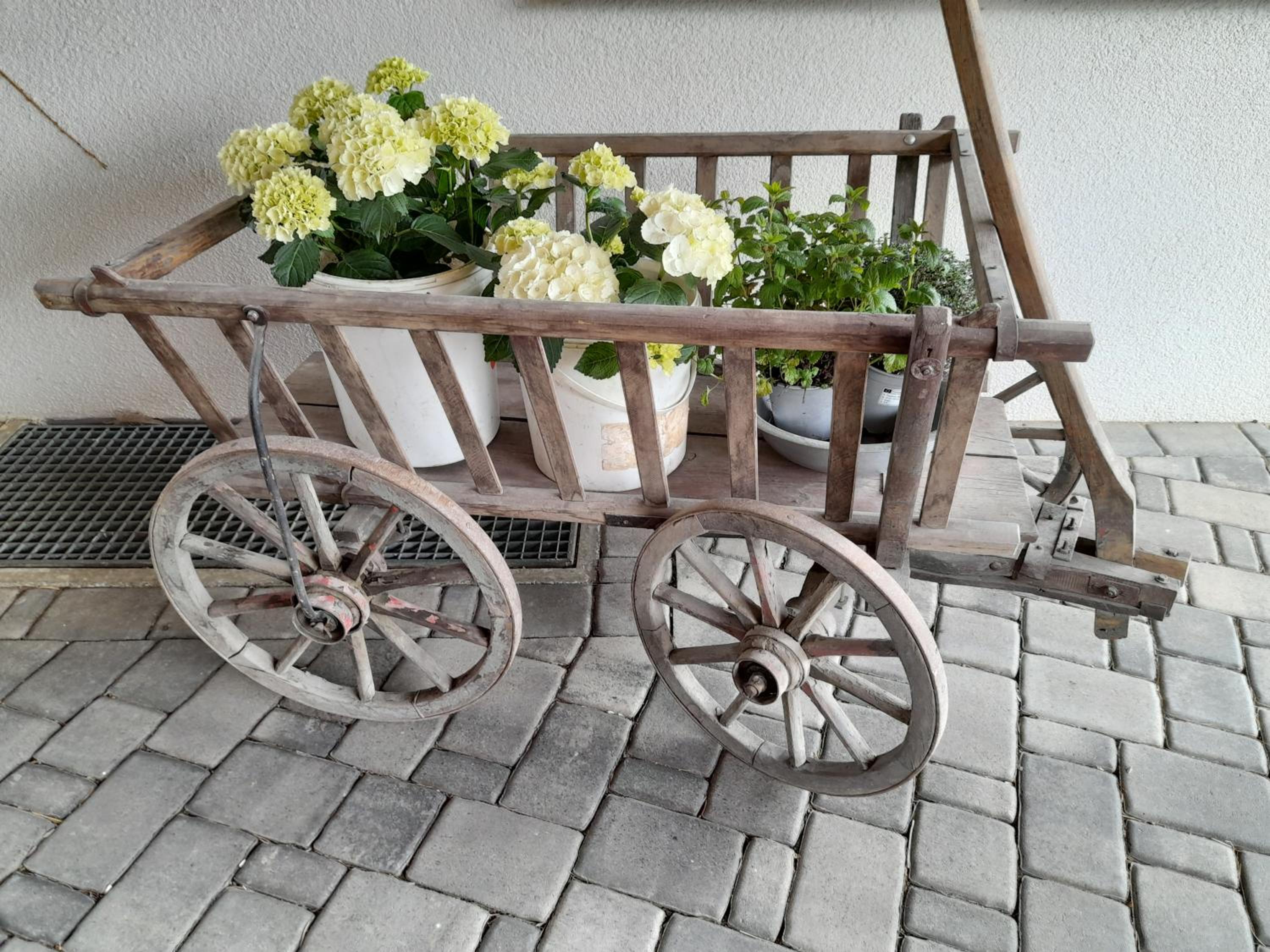 LAND-Hausle - Property Image 3
