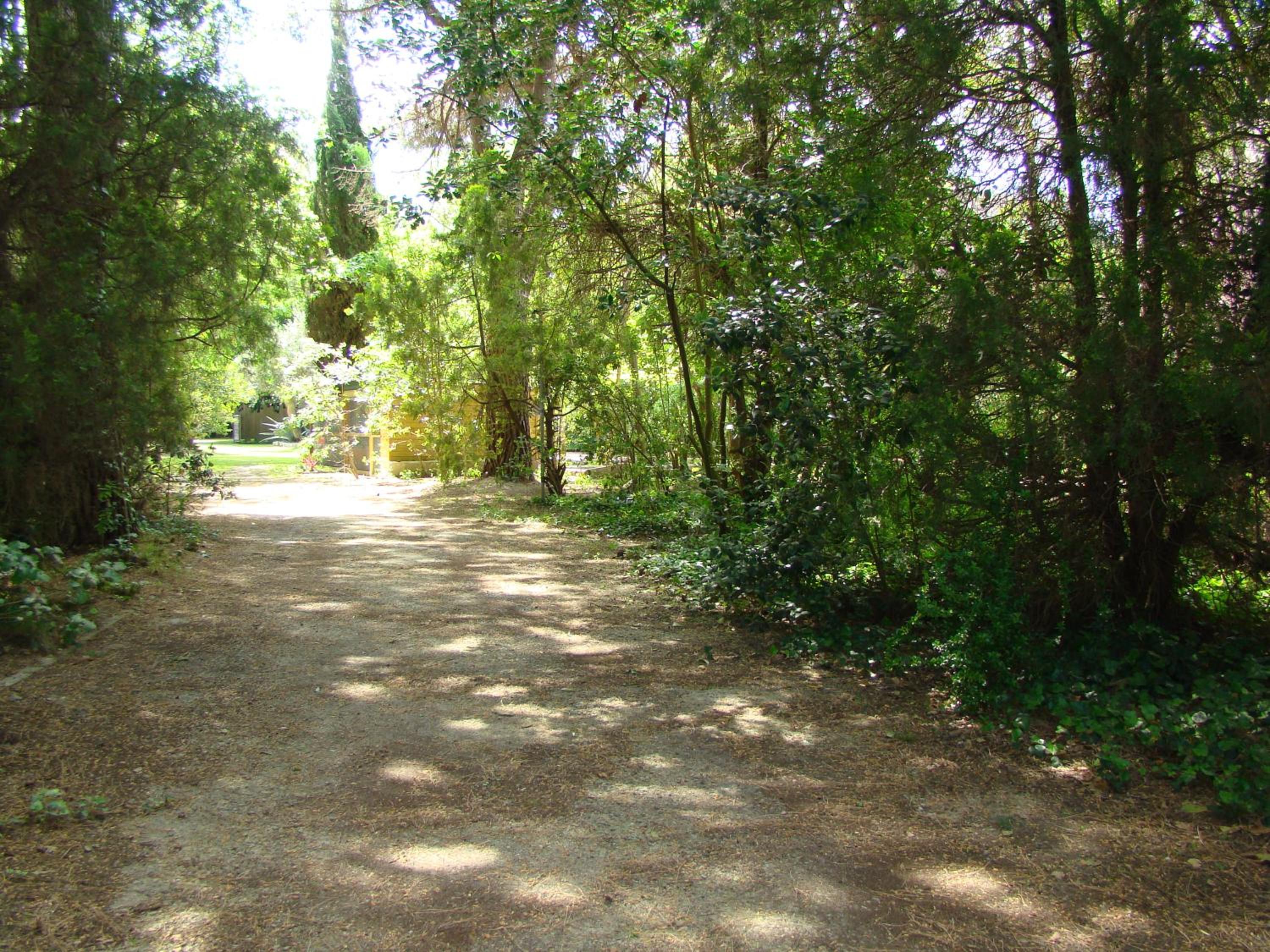 Photo 24