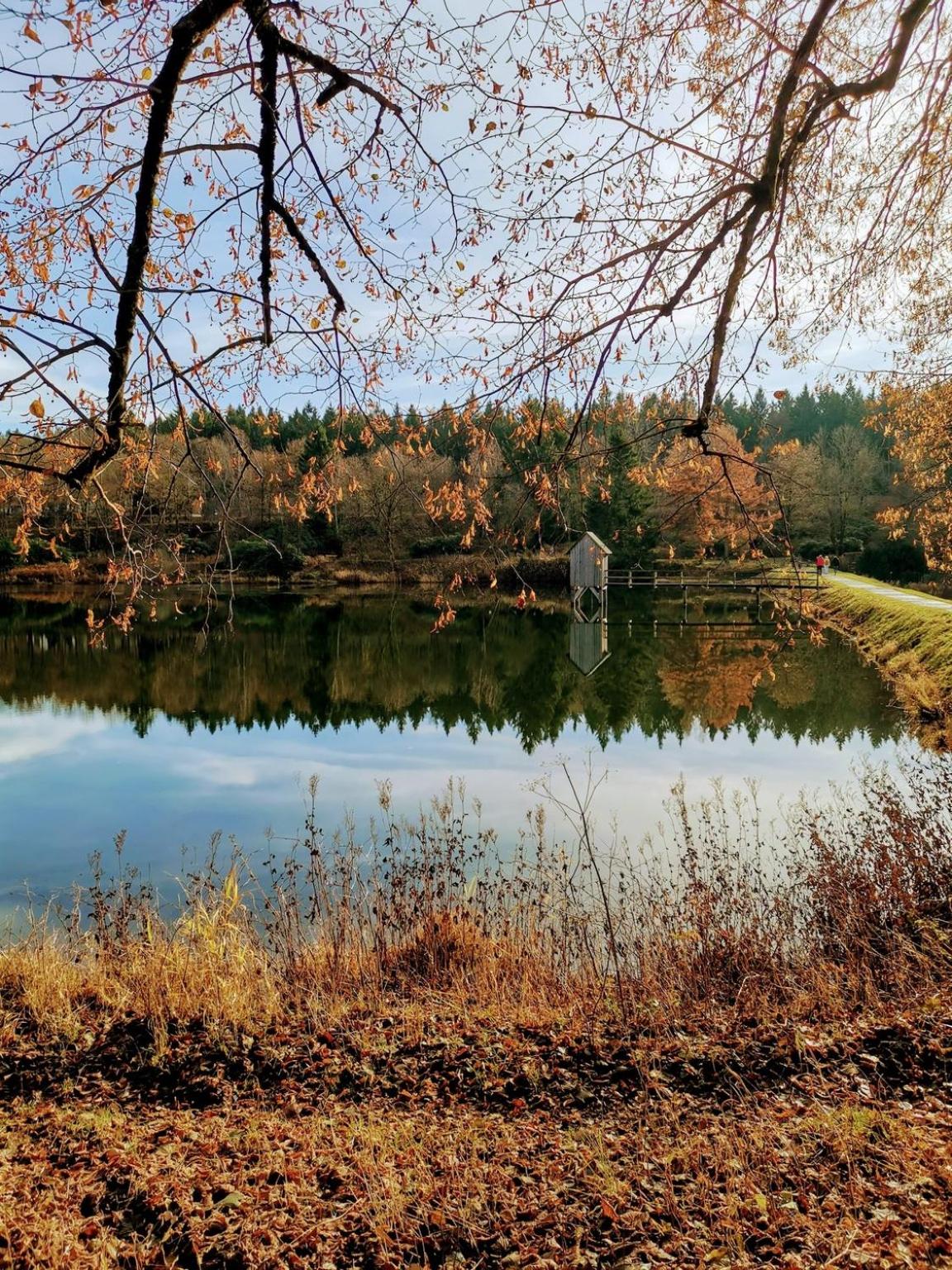 Hahnenklee mit Seeblick 219