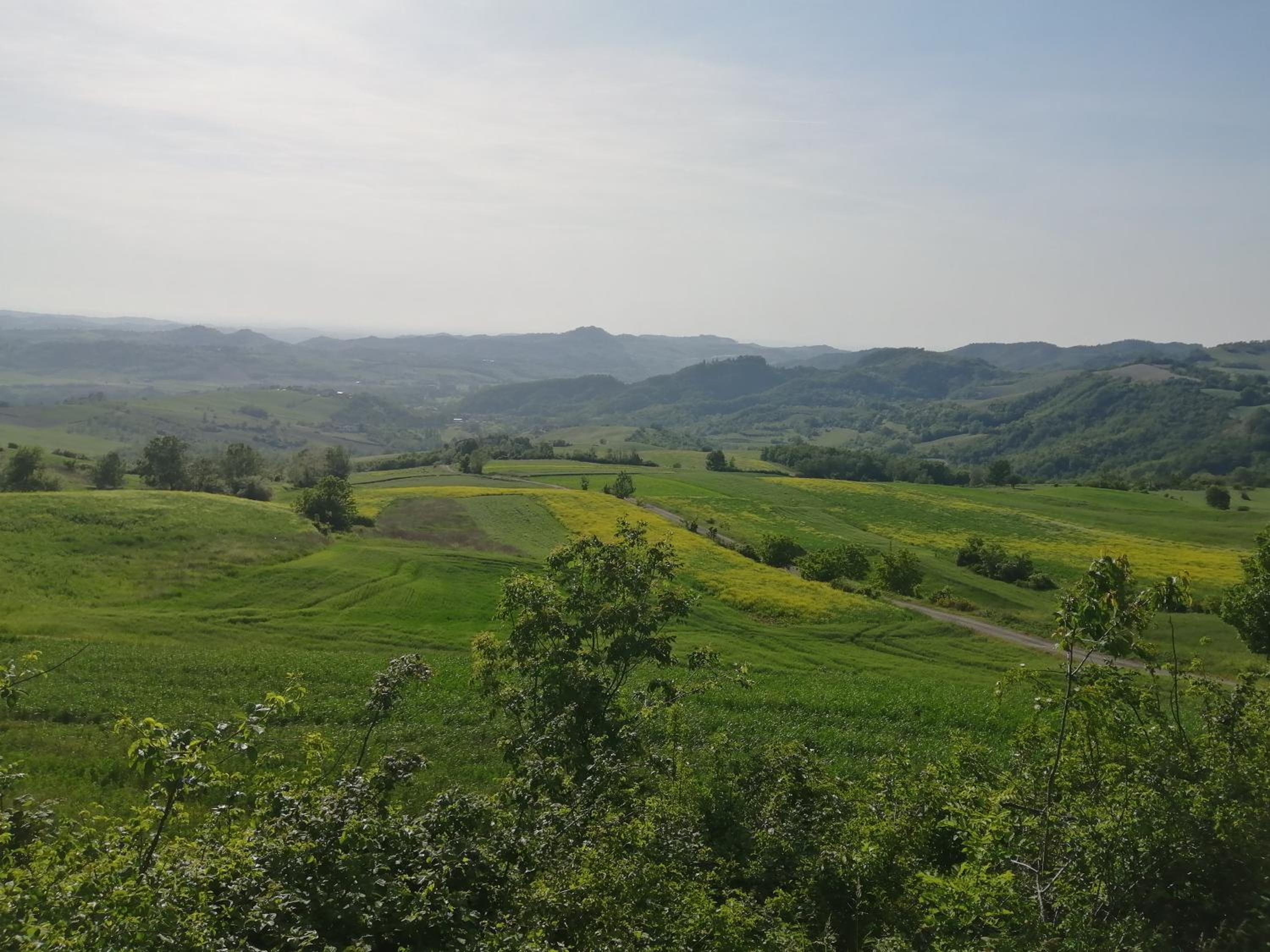 Felix House - Property Image 94