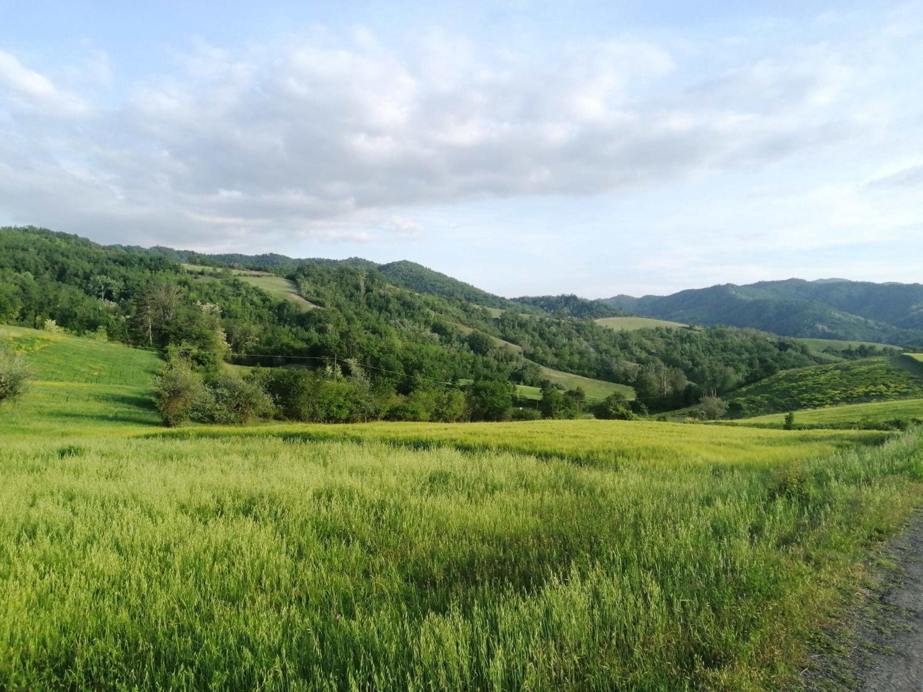 Felix House - Property Image 93