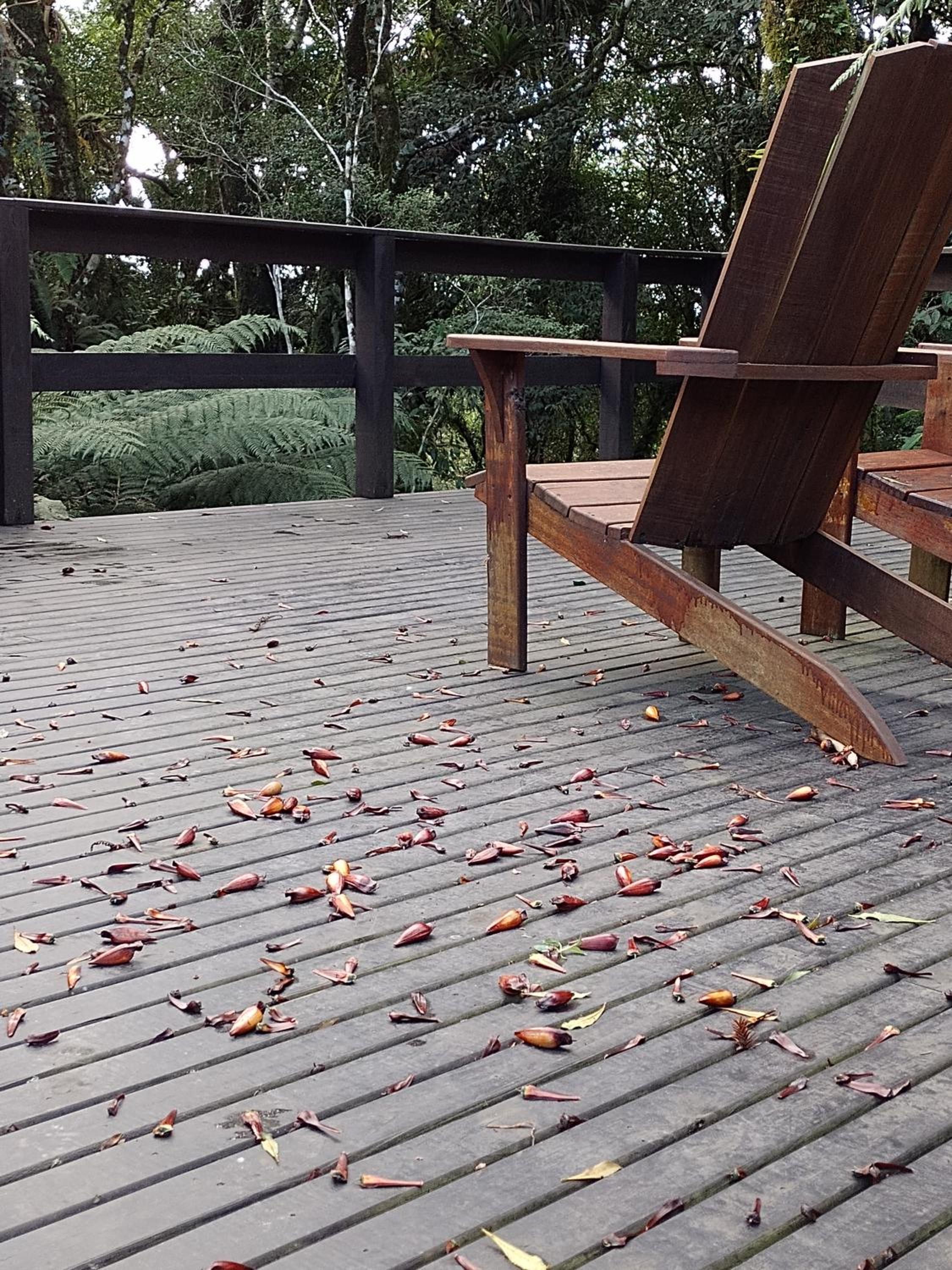 Hotel Bangalô dos Alpes de São Chico - Image 1