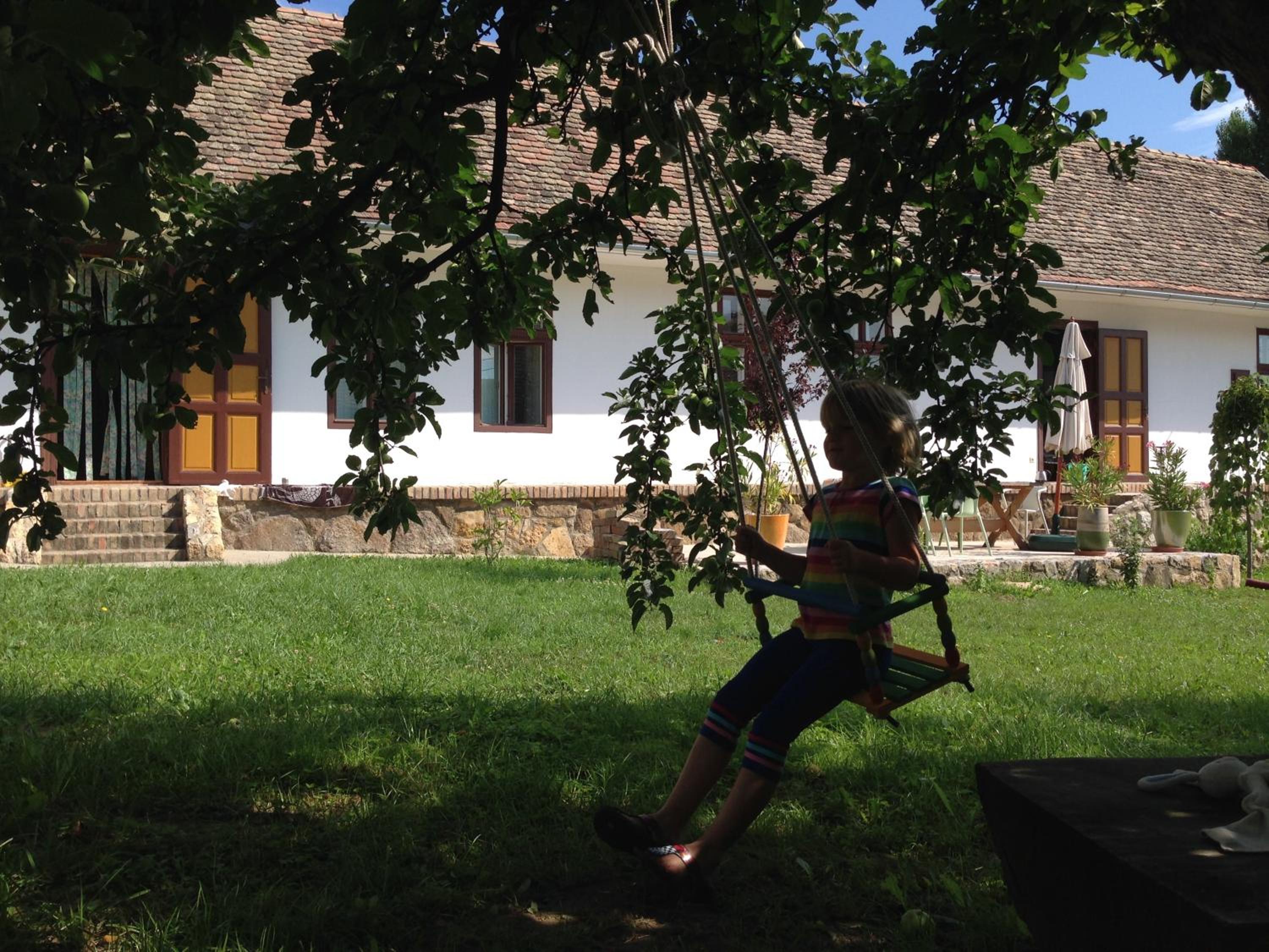 Photo 17