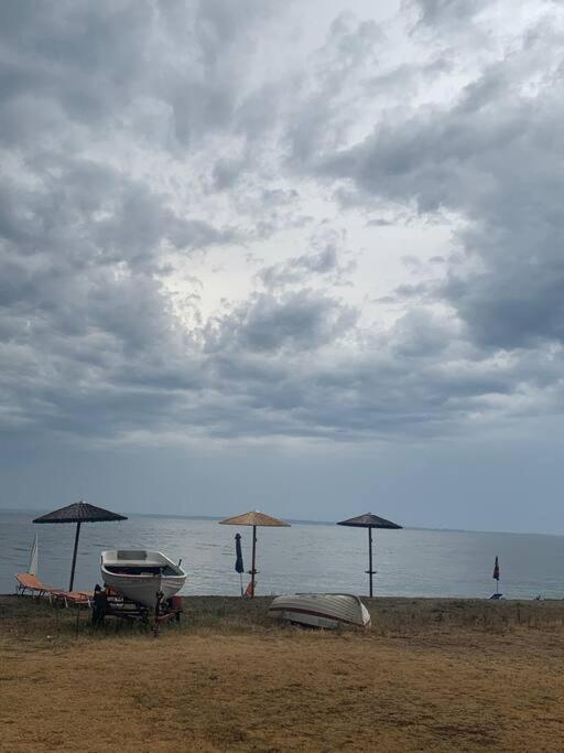 Photo 40