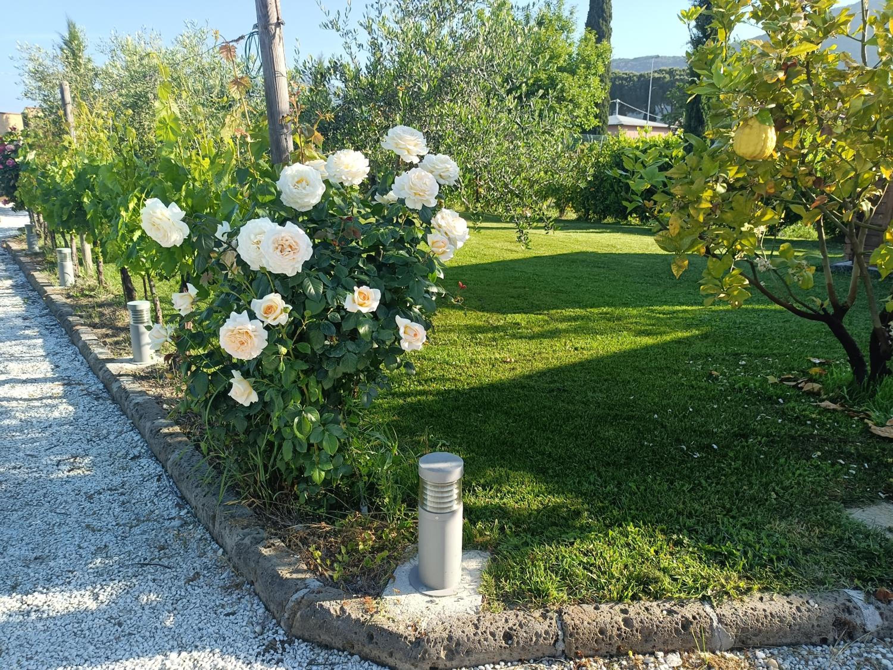 La casa di Samarcanda view 4