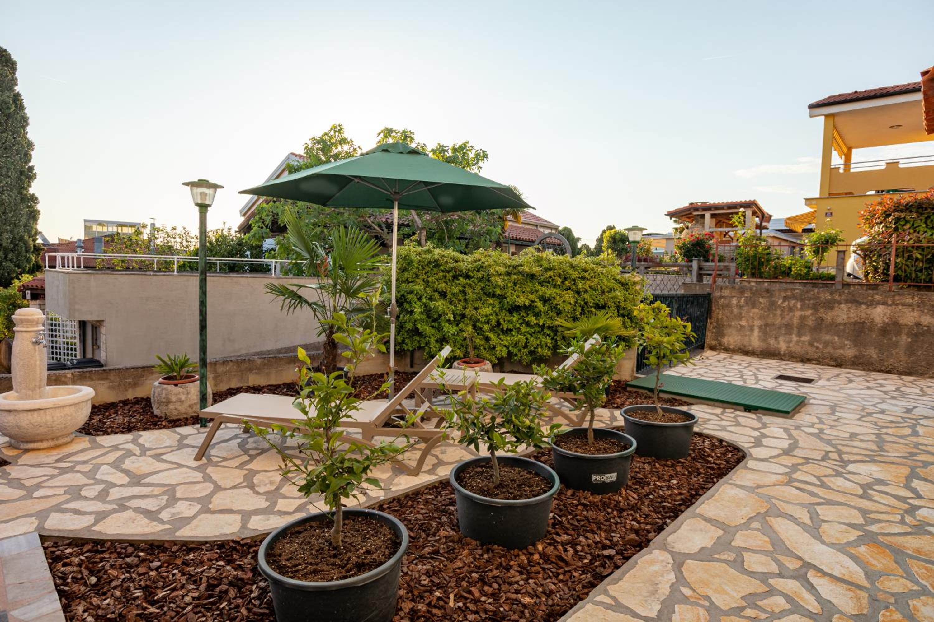 Photo 19
