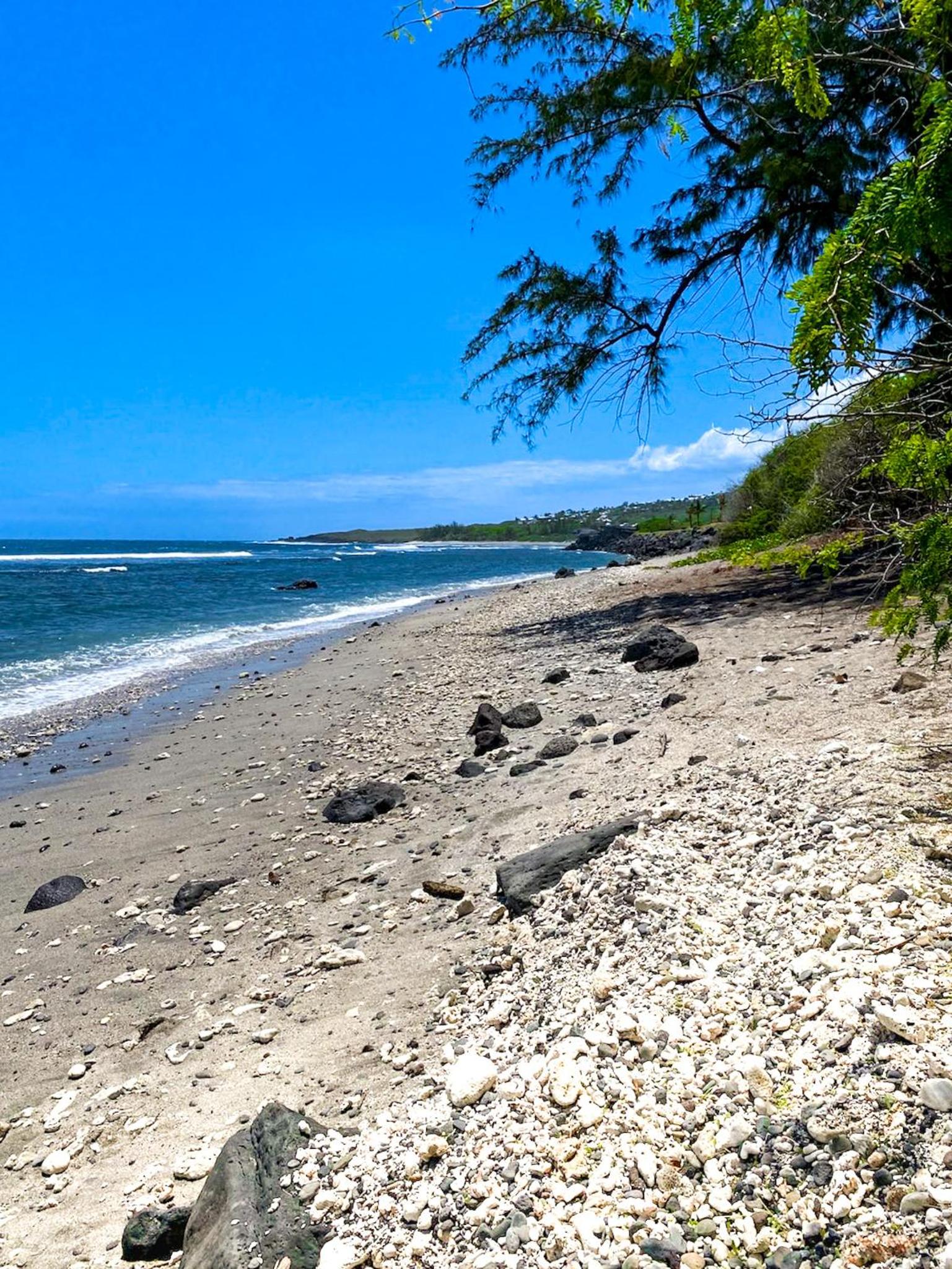 Le Pétrel Bleu - Appartement sur la plage des Tortues à Saint-Leu view 4