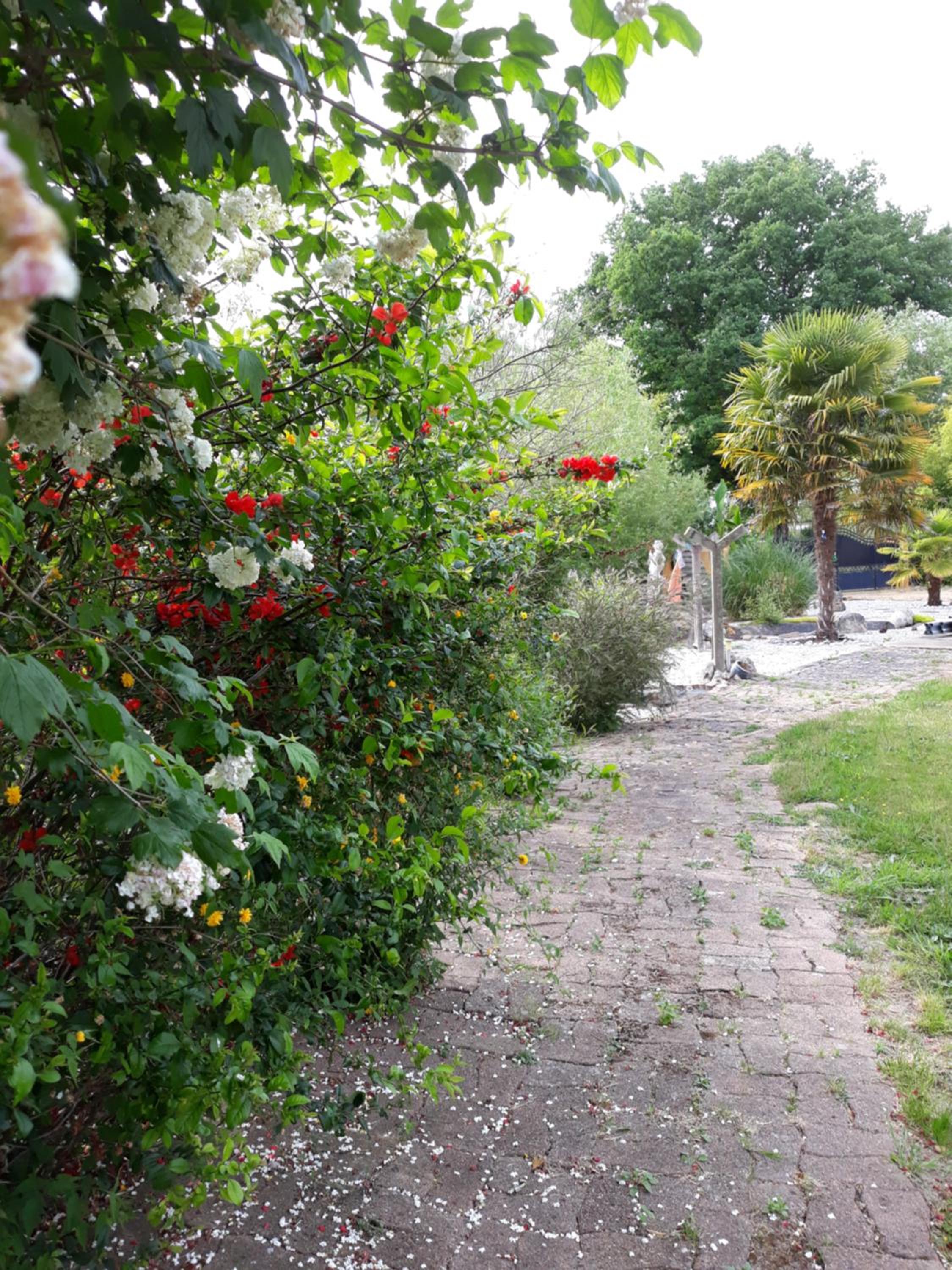 Photo 31