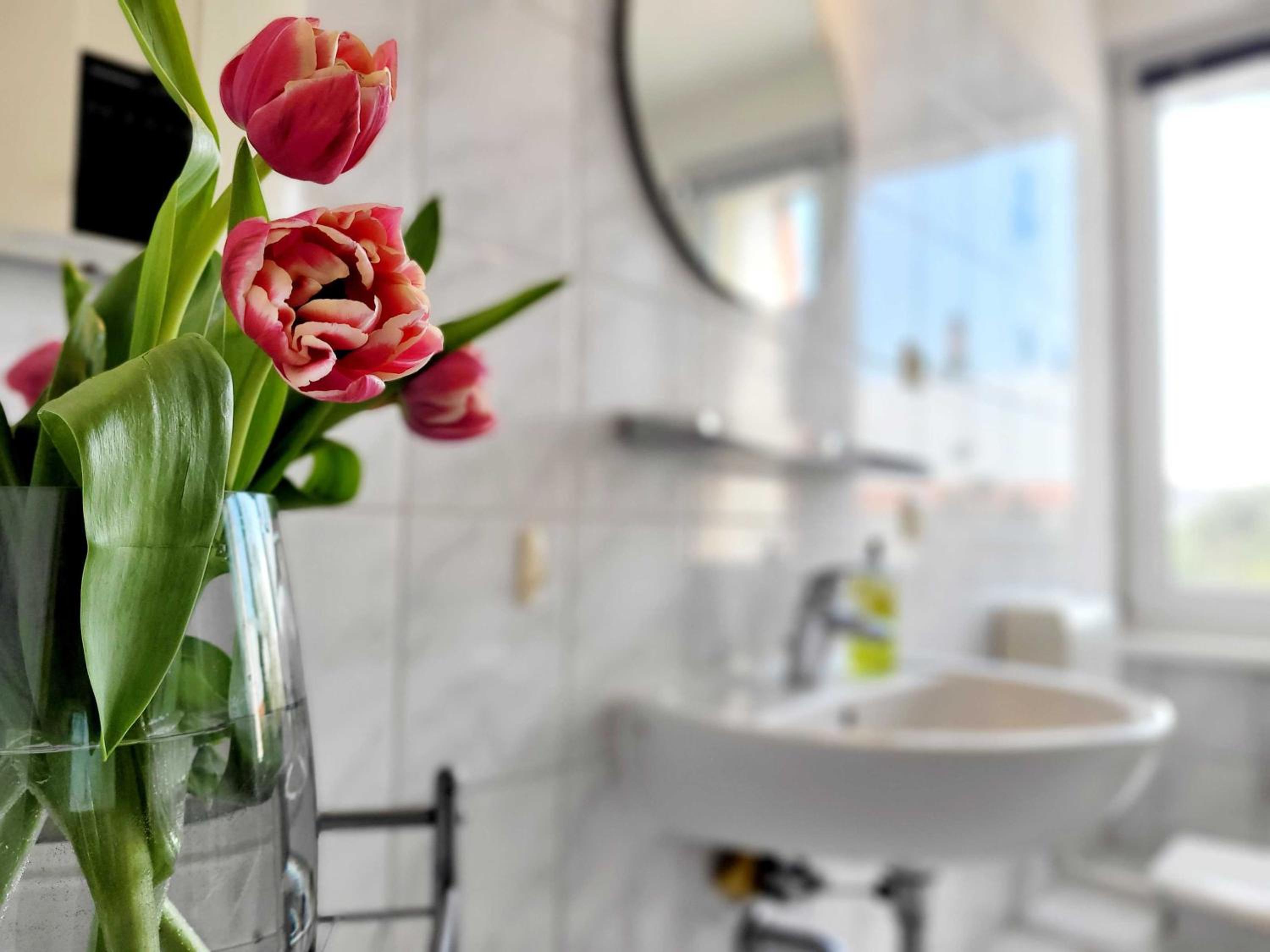 Dünengarten Nr 56 mit Balkon und Meerblick OFC 20 view 4