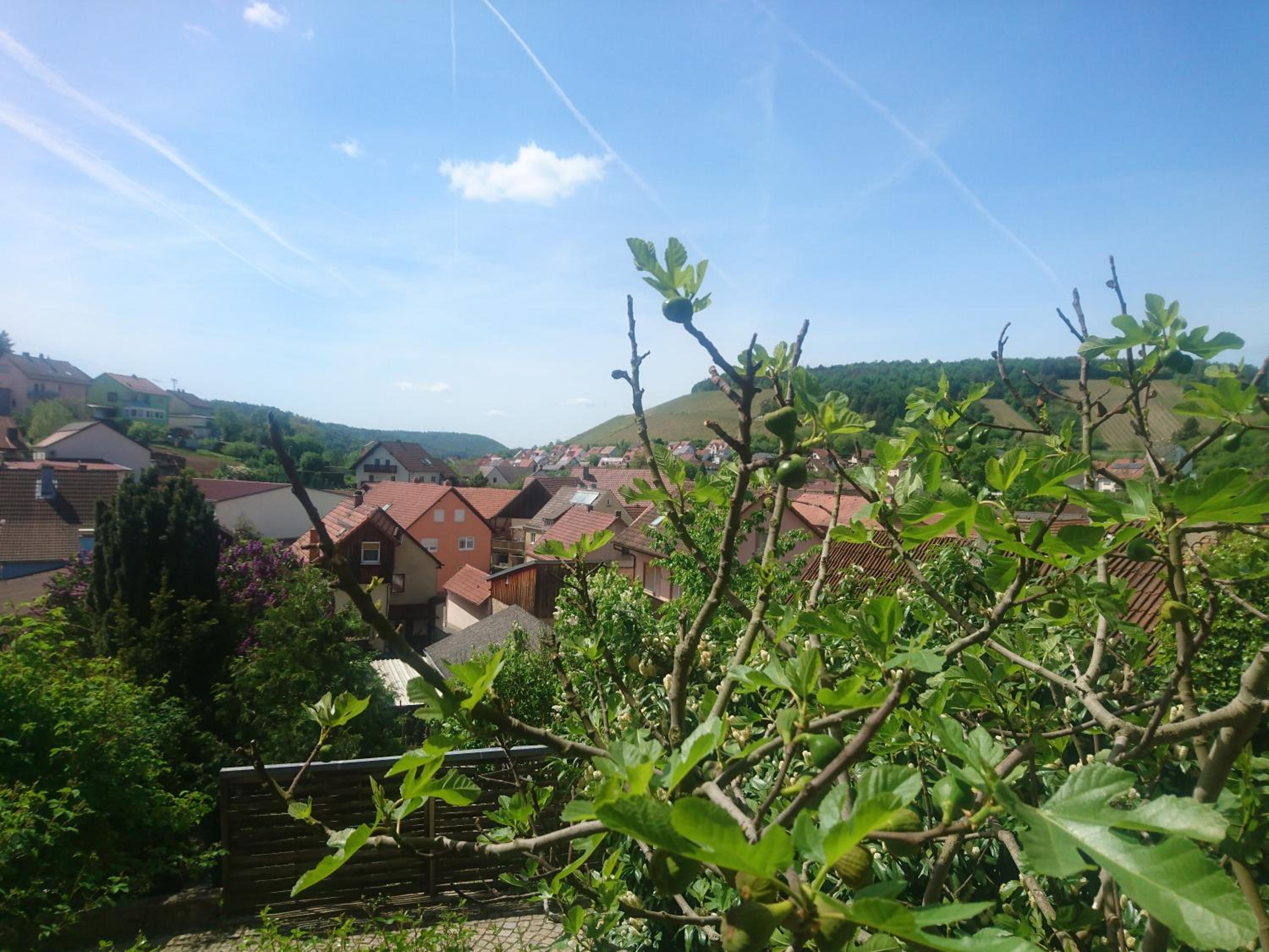 Ferienwohnung Späth view 2