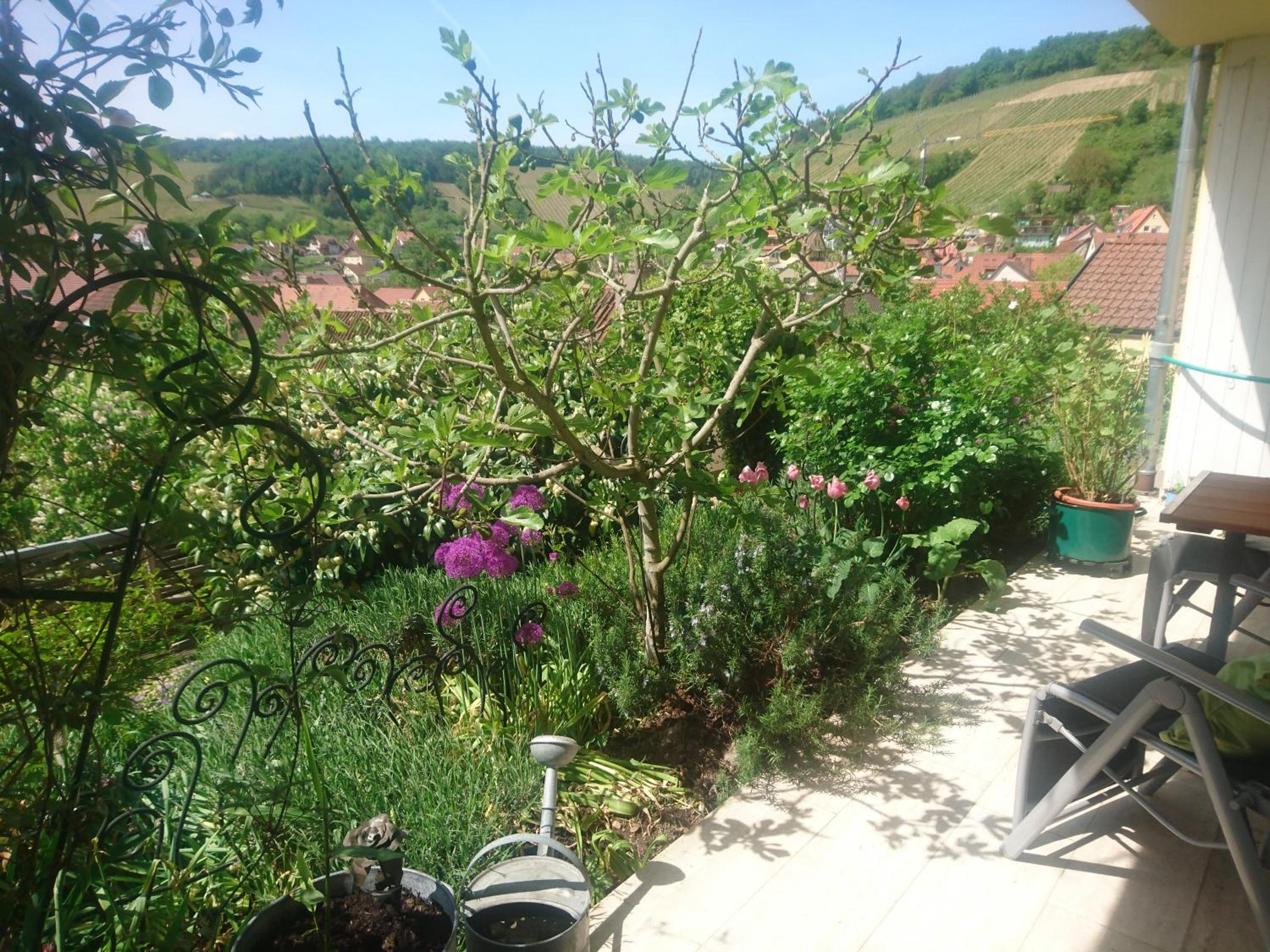 Ferienwohnung Späth view 3
