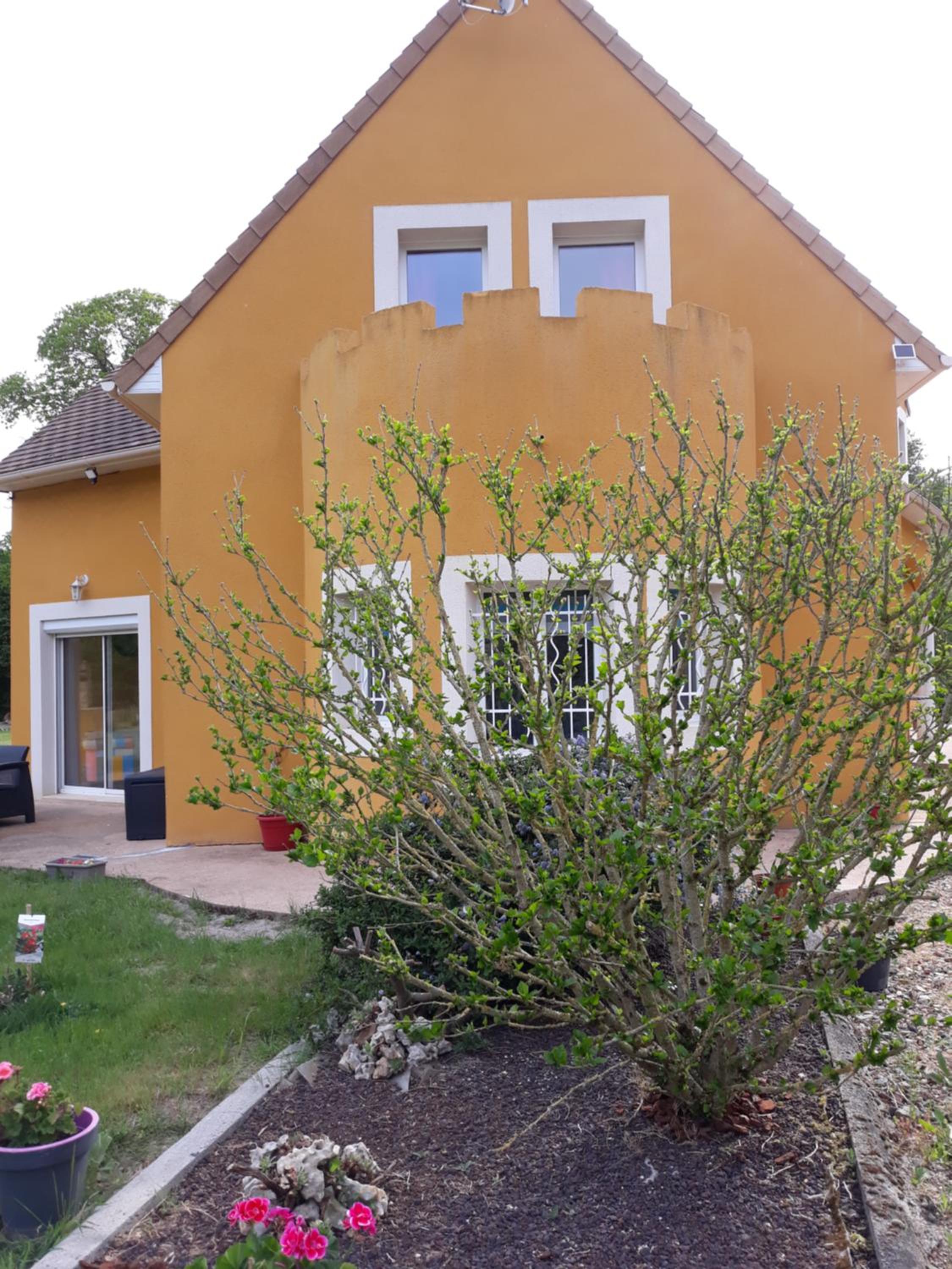 Photo 27