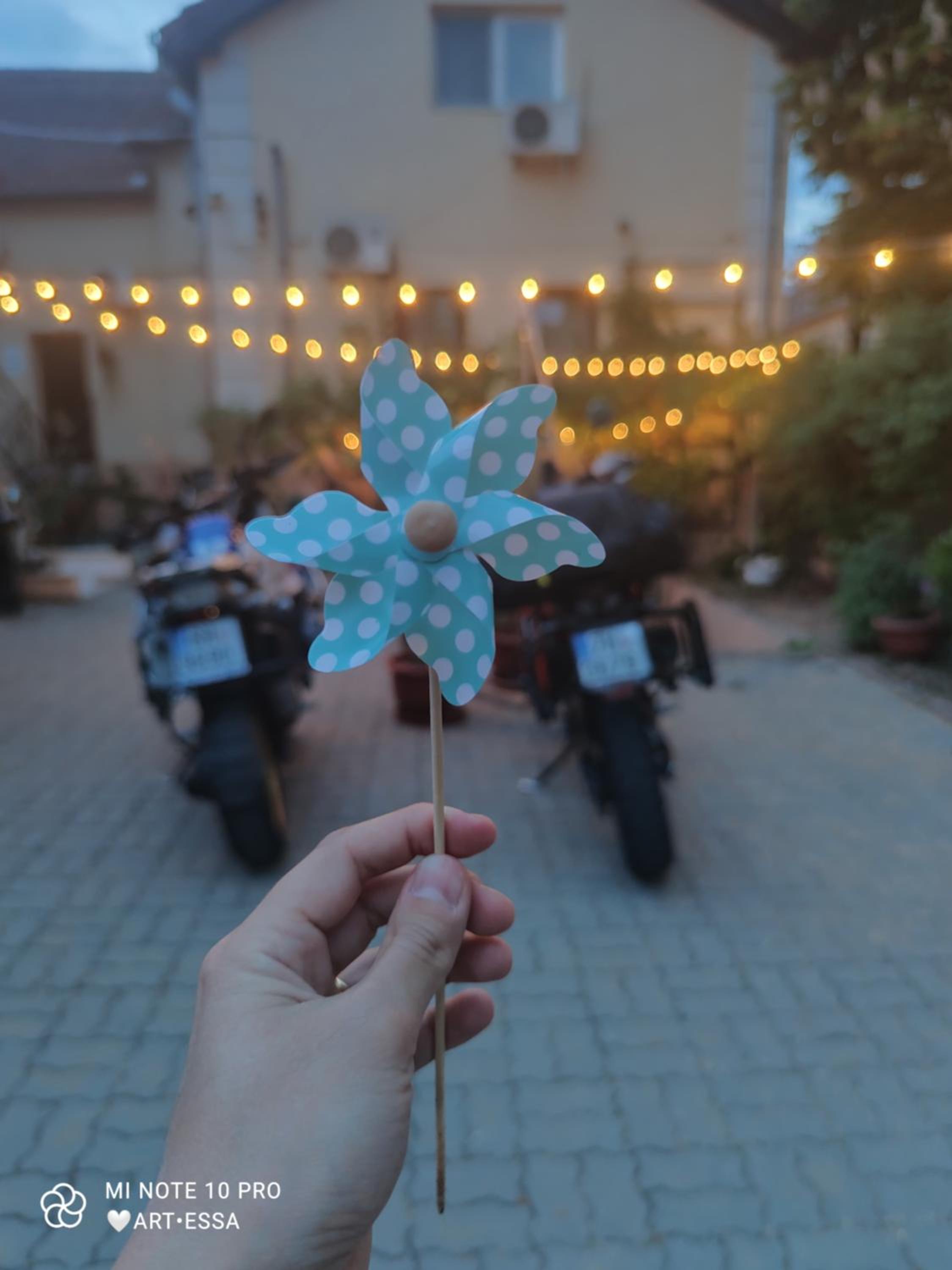 Pensiunea Buon Gusto Sibiu-motorcyle friendly,city center