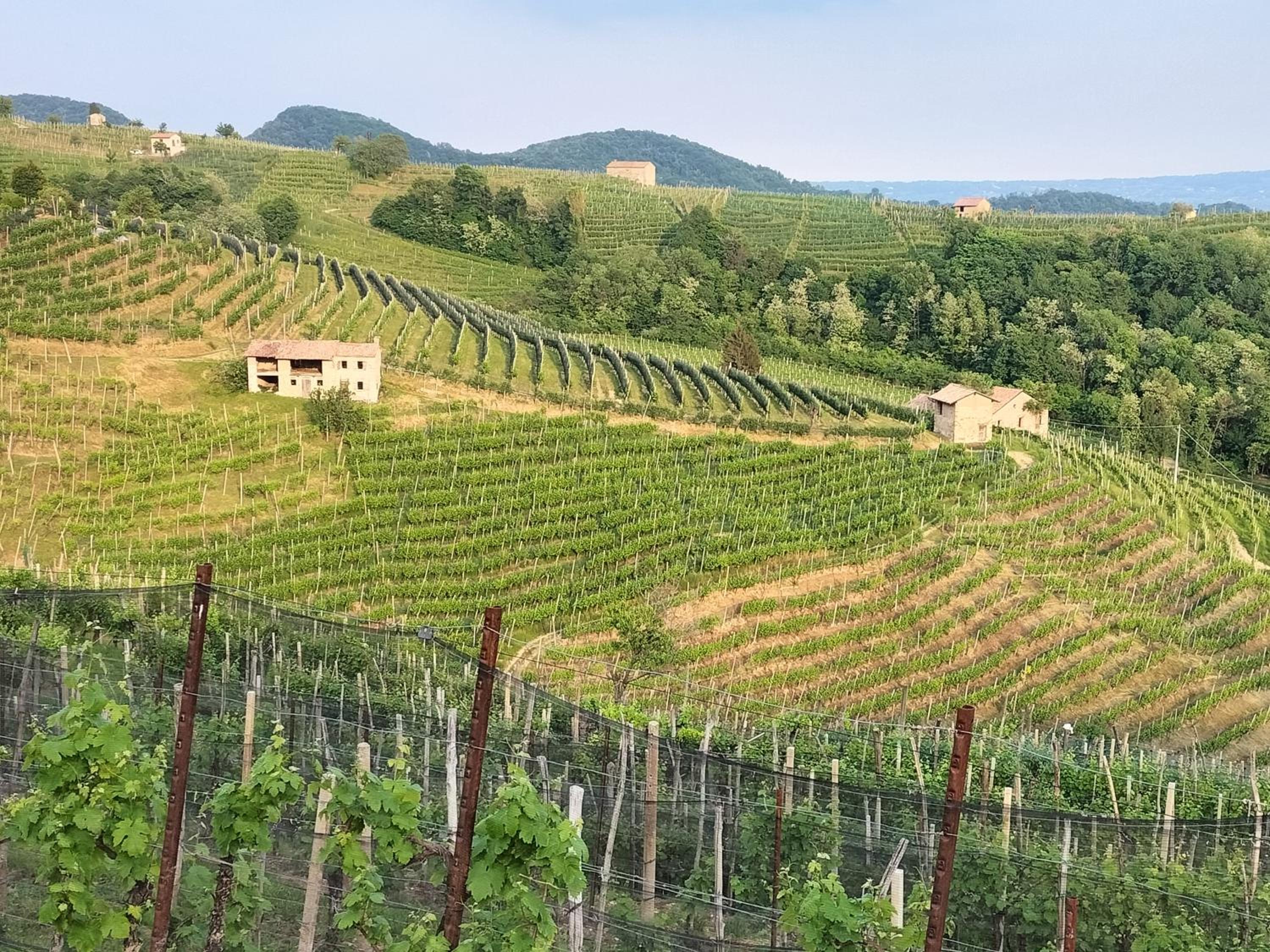 B&B Terre Di Bea