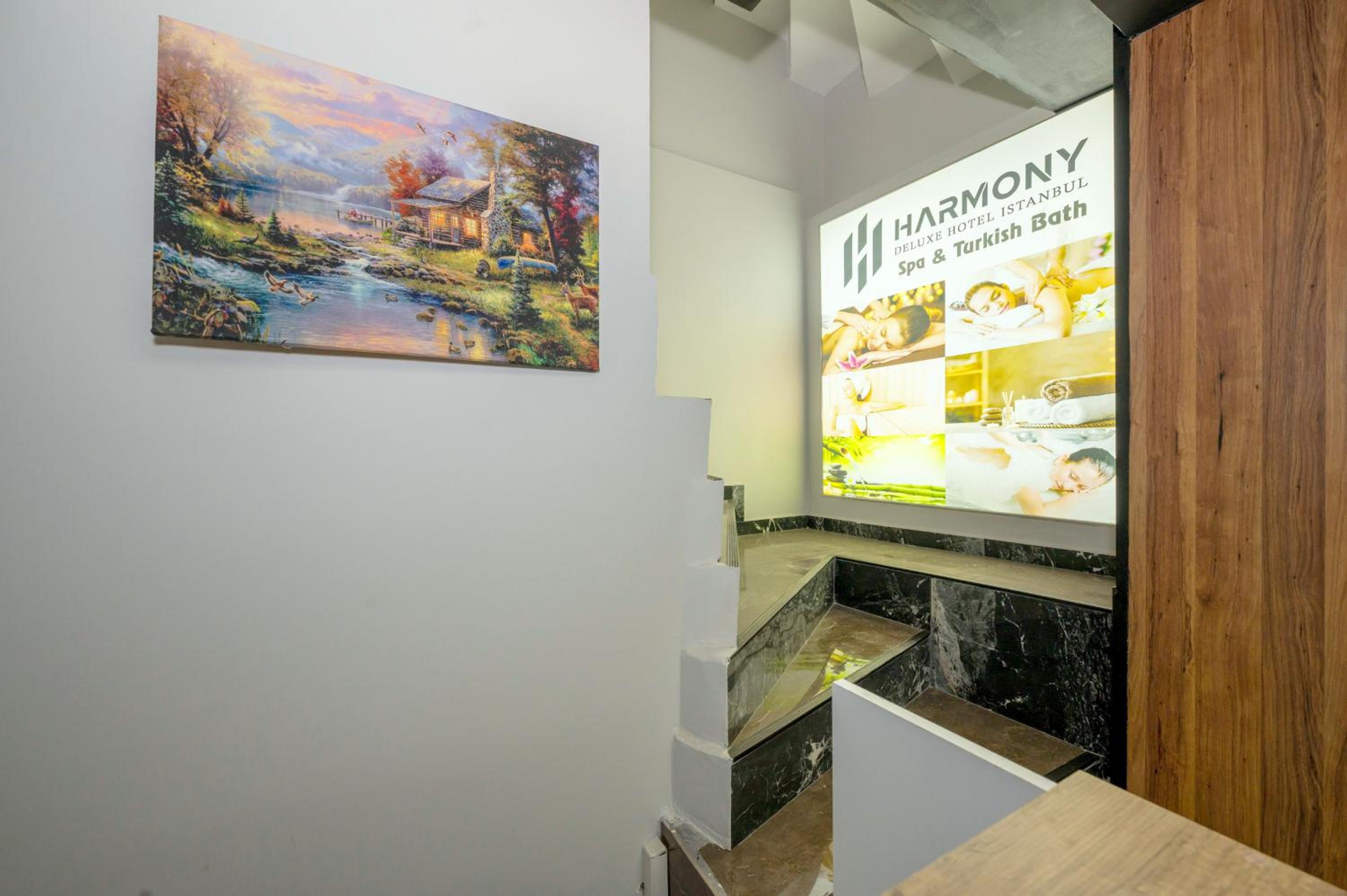 Harmony Istanbul - Image 8