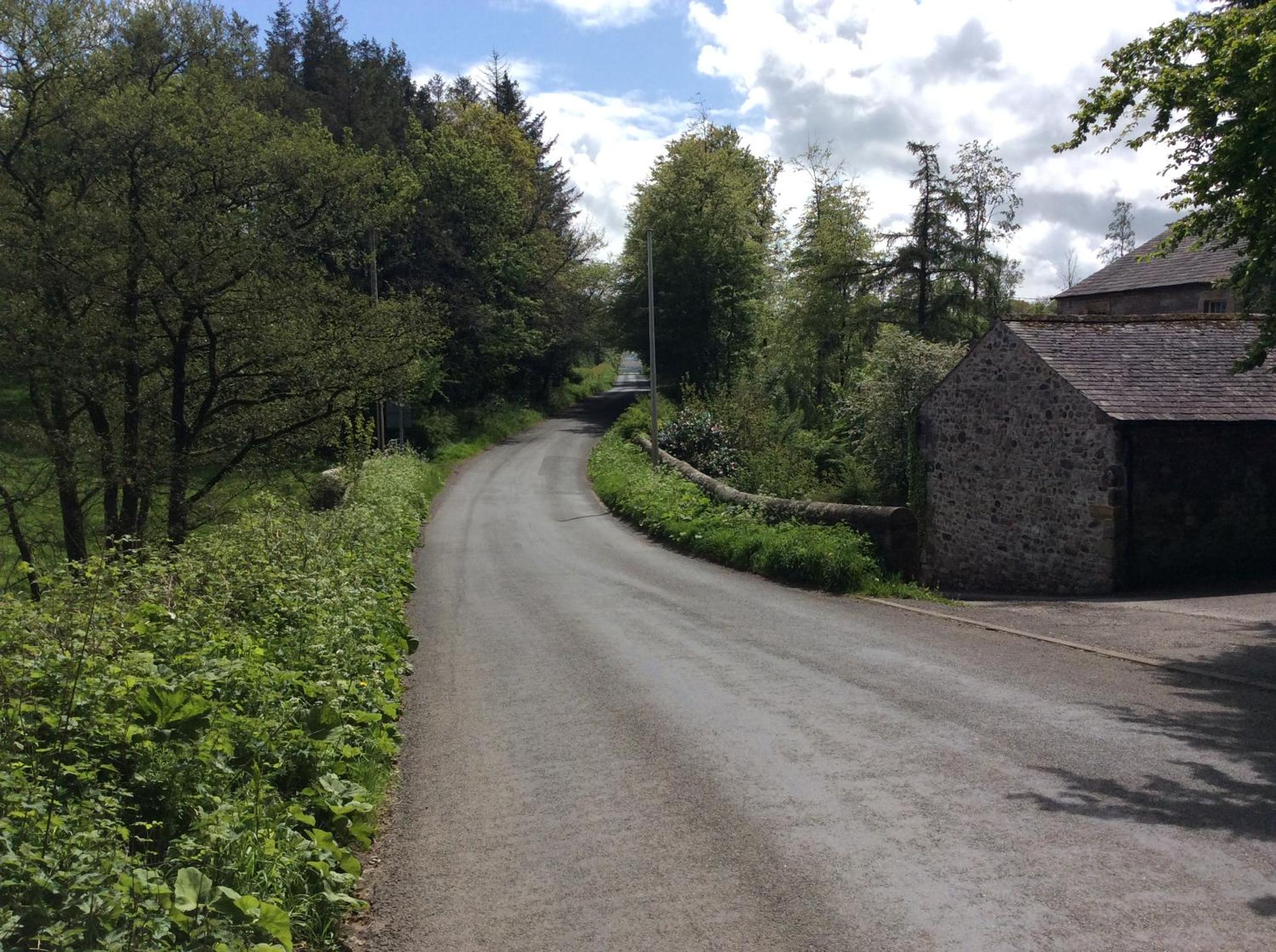 Photo 26
