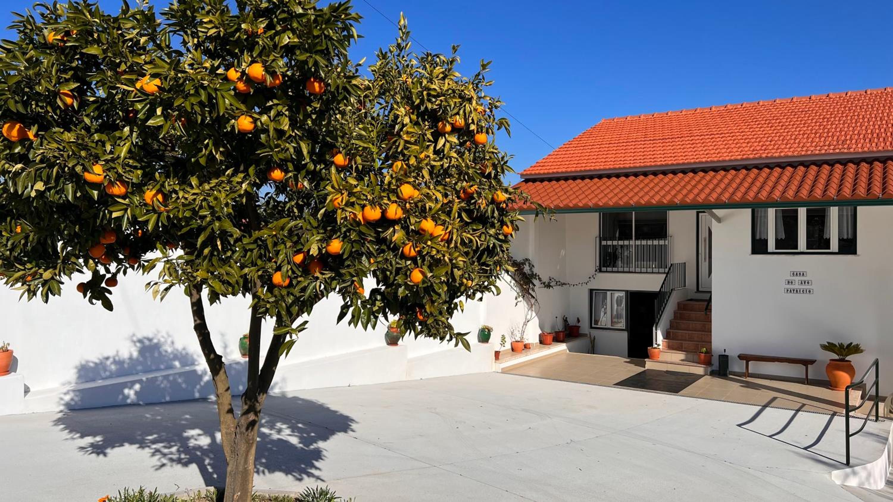 Casa do Avô Patrício - Amazing Country House
