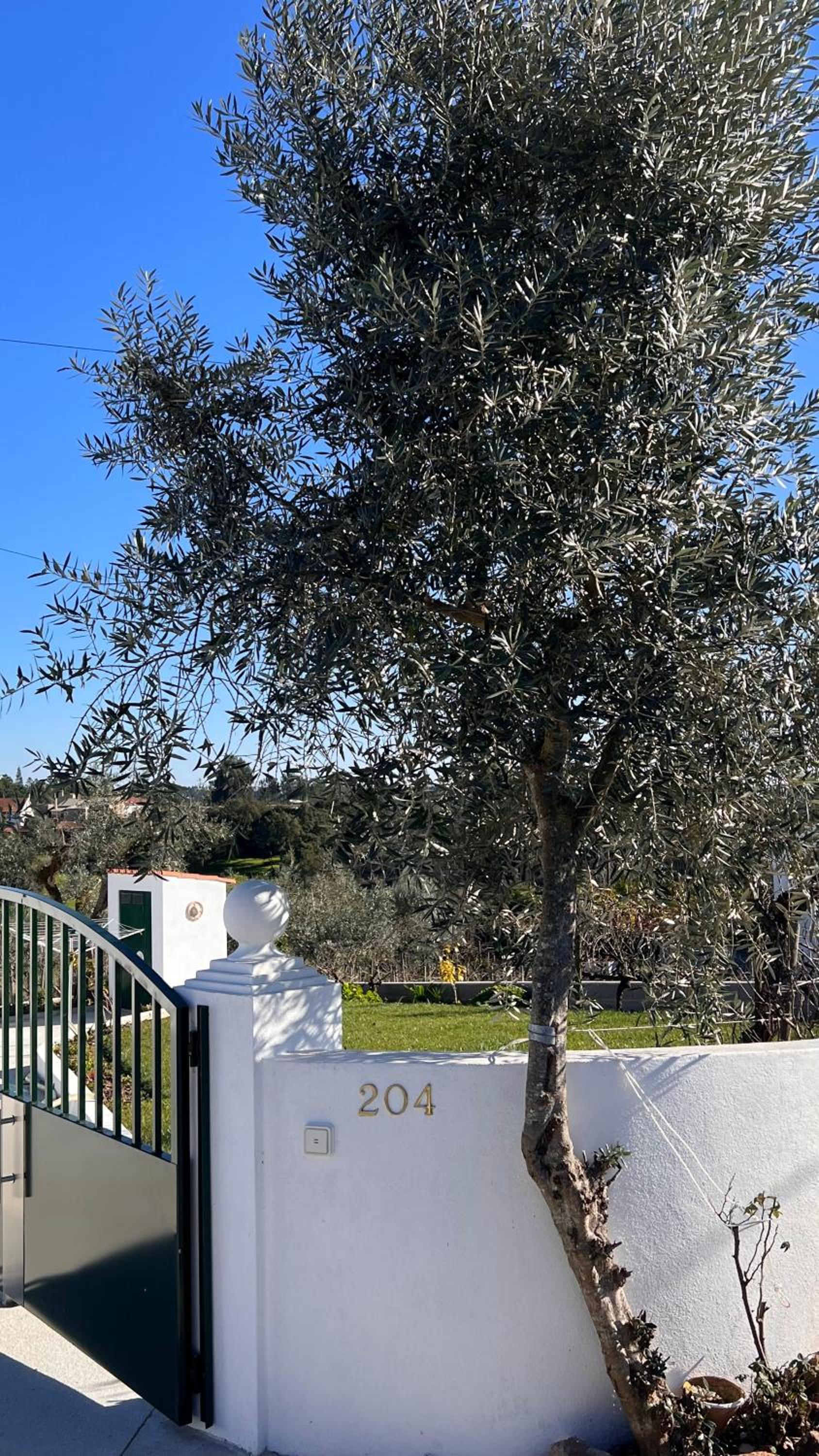 Casa do Avô Patrício - Amazing Country House