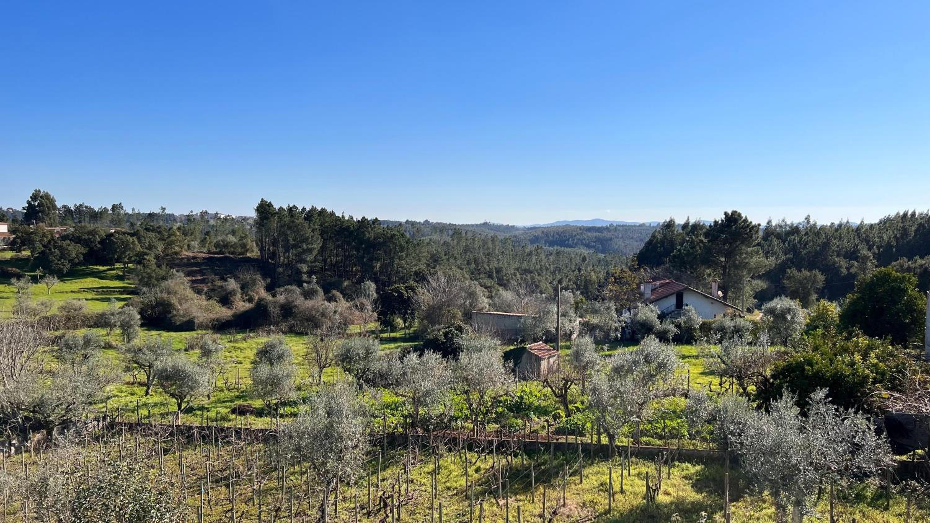 Casa do Avô Patrício - Amazing Country House