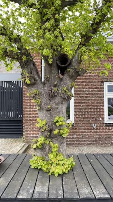 PUUR Eastermar - monumentaal, authentiek en luxe koetshuis aan open vaarwater met jacuzzi en sauna