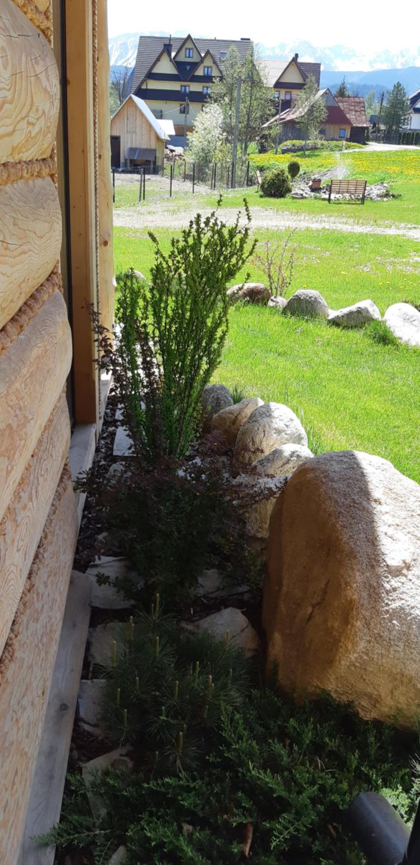 Photo 44