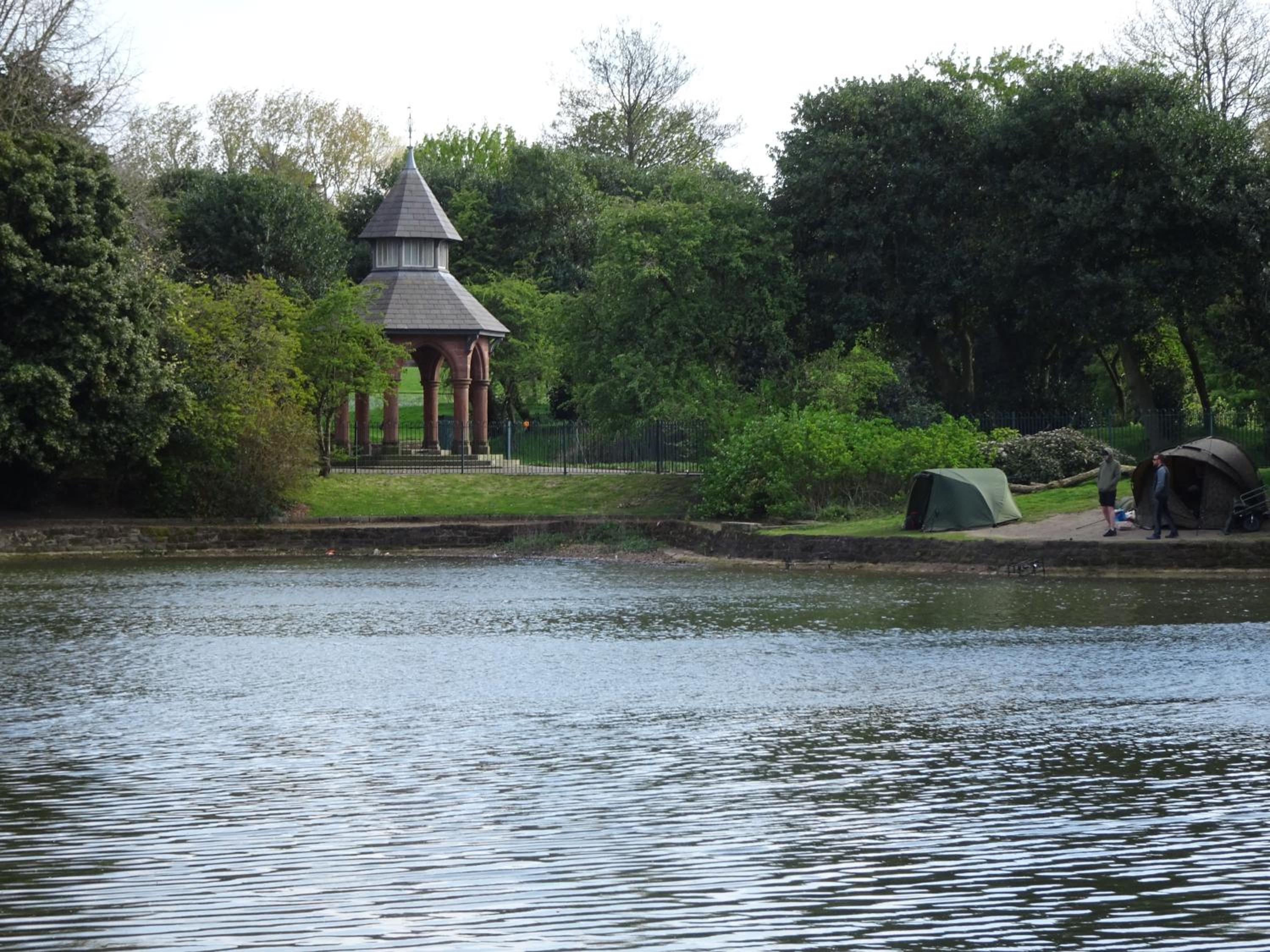 Photo 41