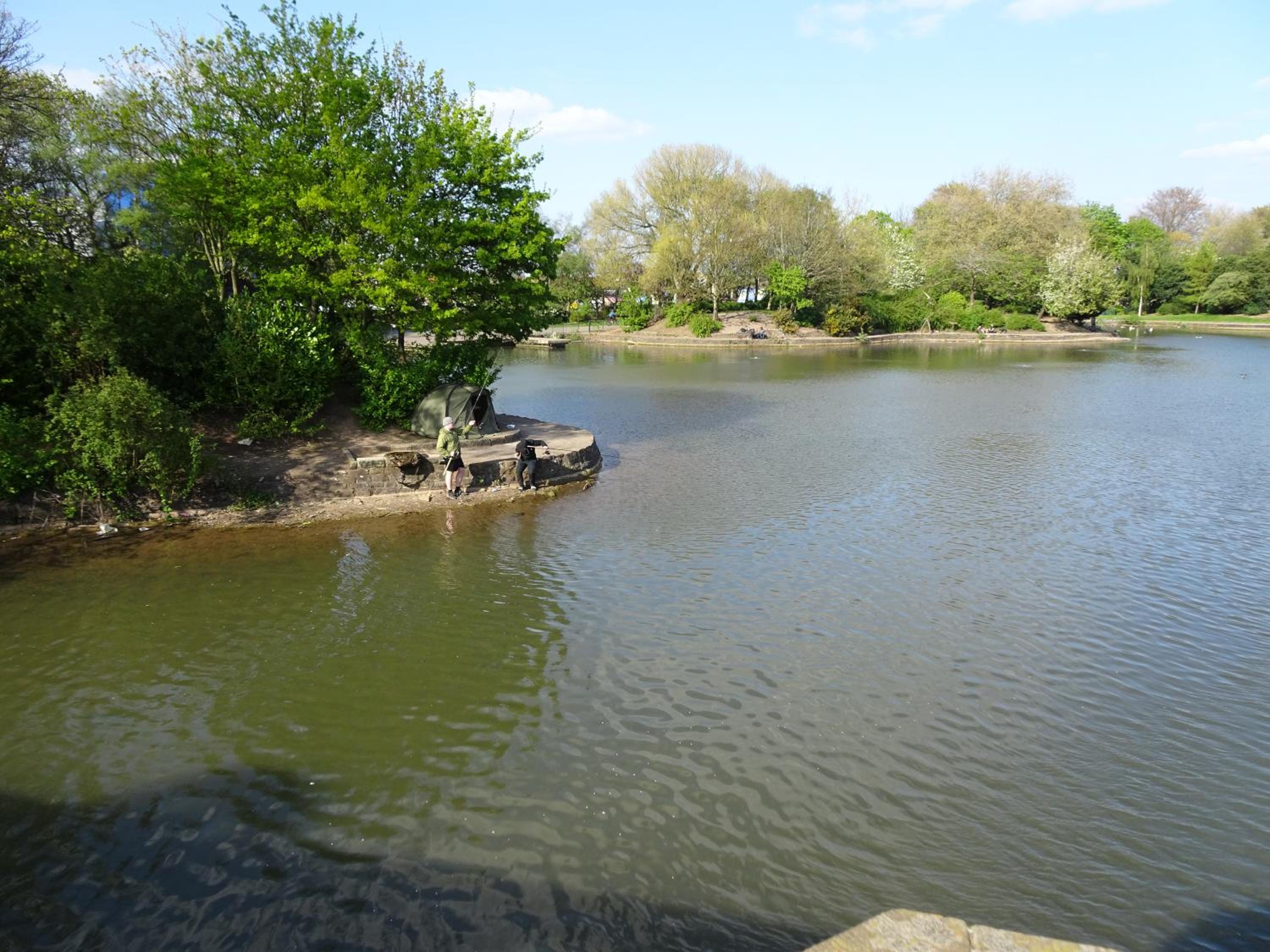 Photo 49