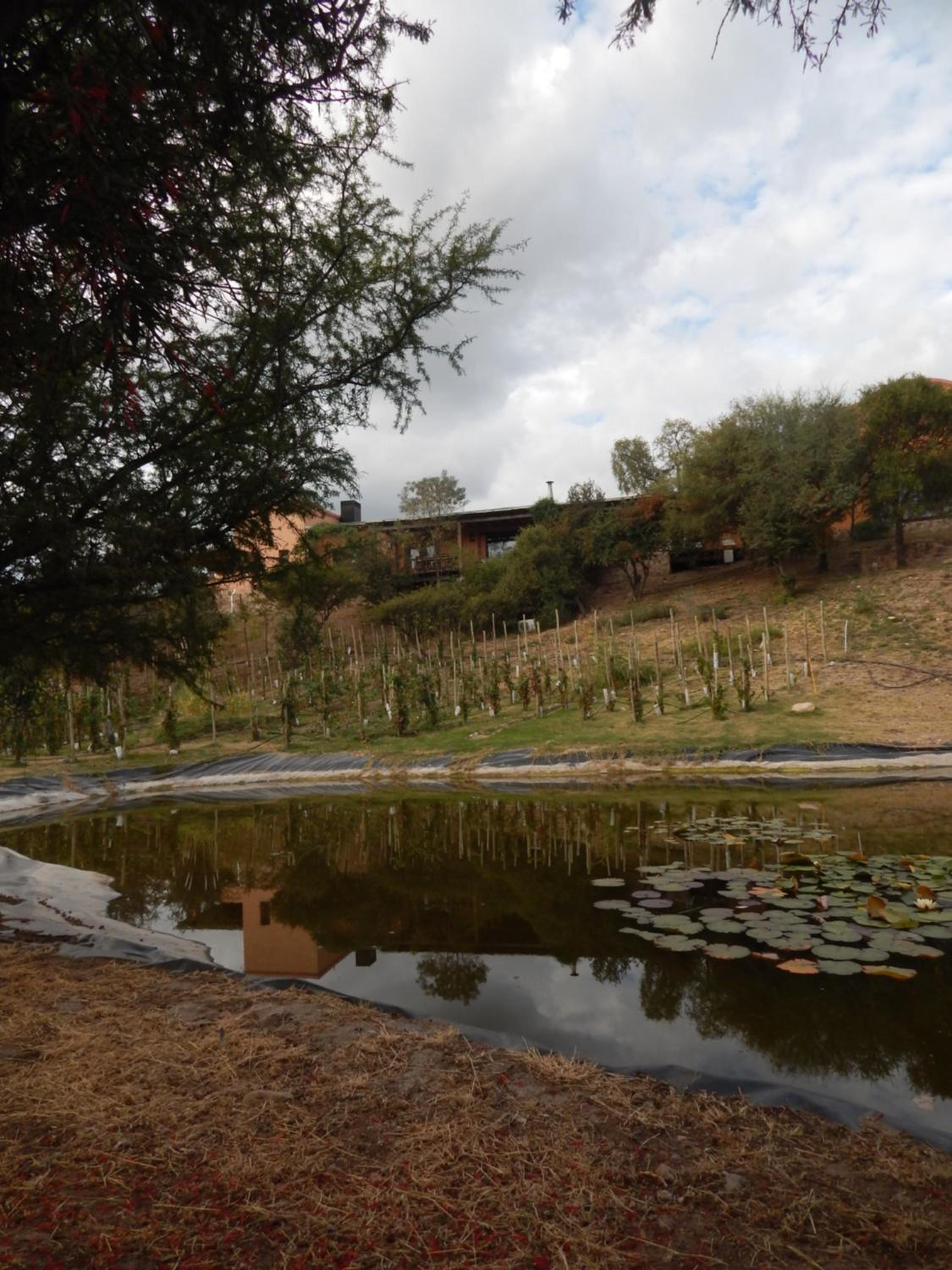 La Morada, imperdible Casa de Campo en La Matilde