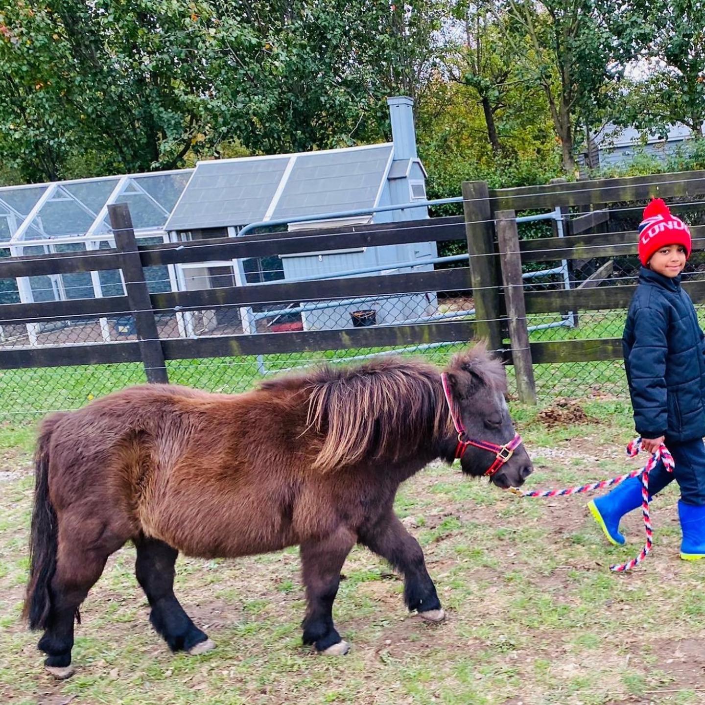 Farm Stay MAPLE Cottage at Wilindi Estate