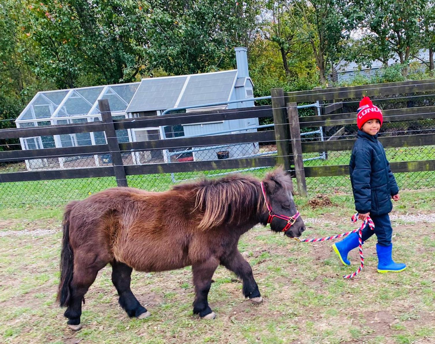 Farm Stay MAPLE Cottage at Wilindi Estate