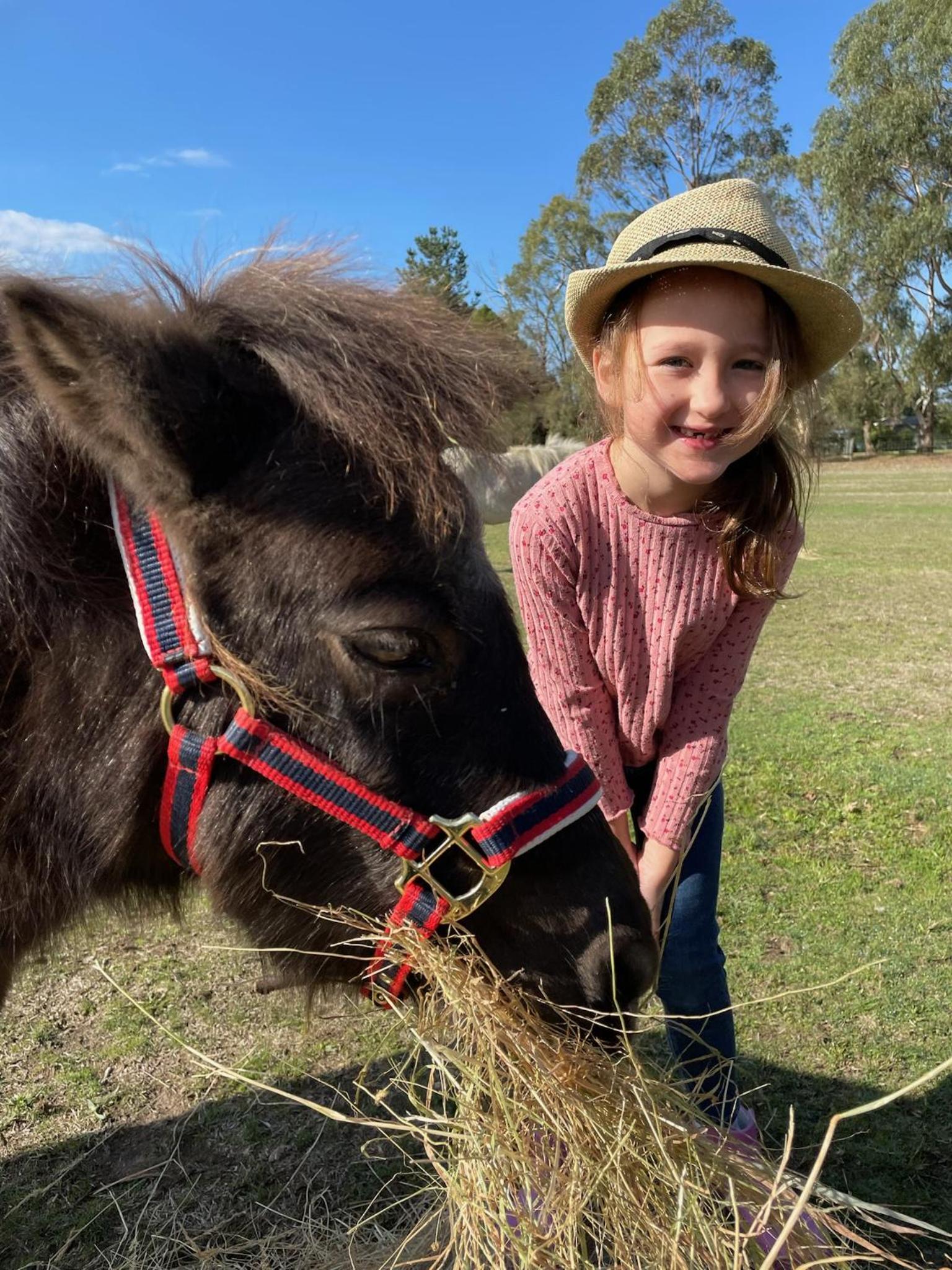Farm Stay MAPLE Cottage at Wilindi Estate