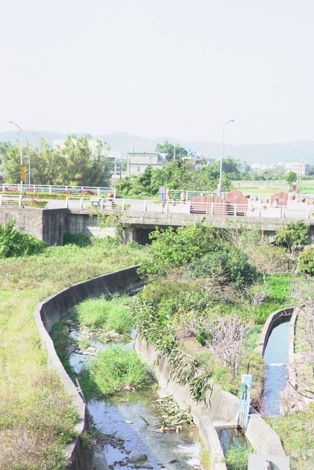 喫茶居 茶蔬食主題民宿 Chih Cha Jyu