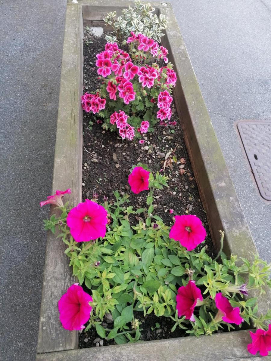 Photo 46