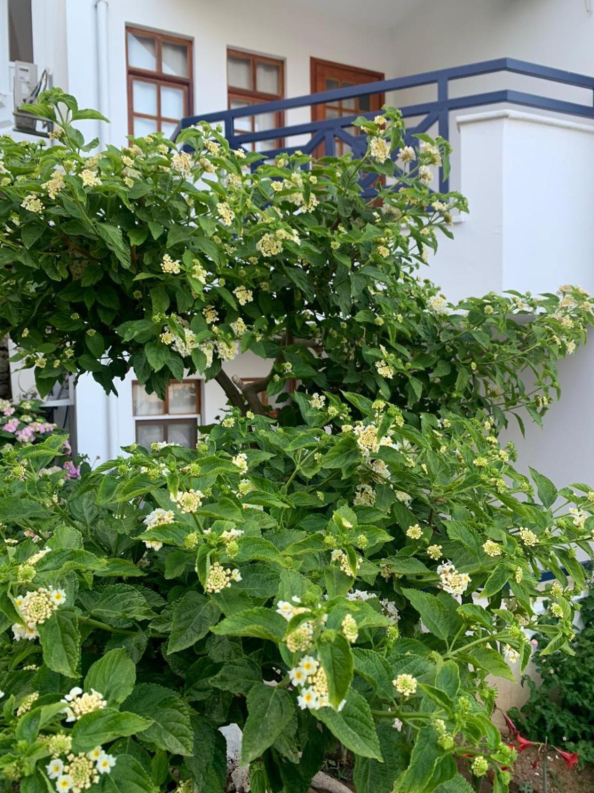 NATURELLA APART HOTEL - Image 175