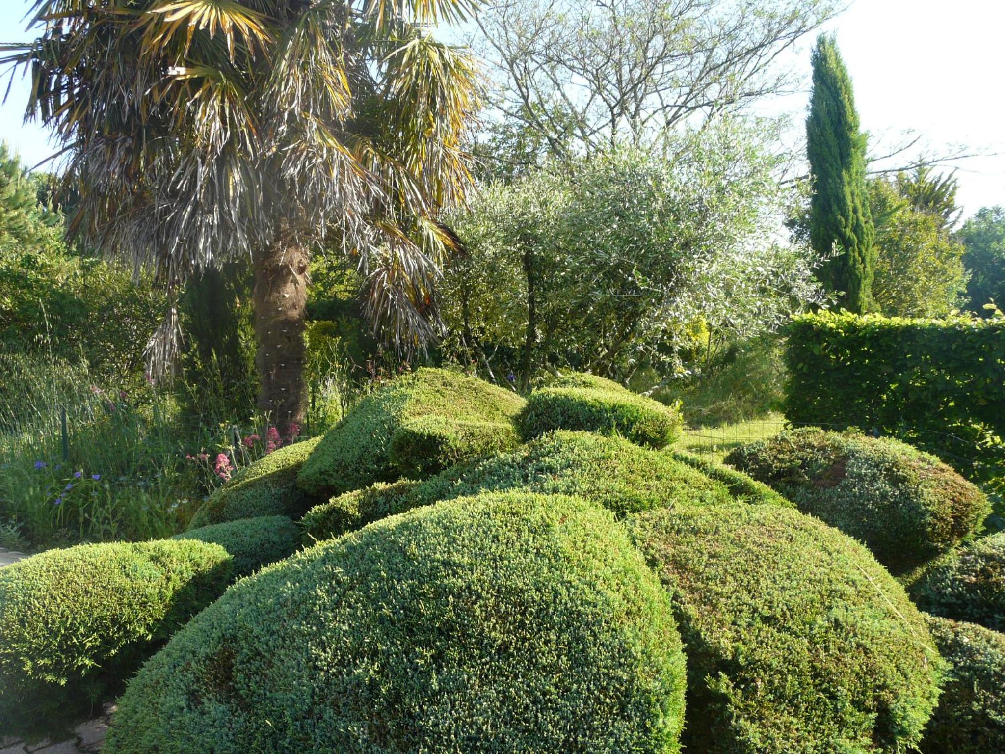 Photo 38