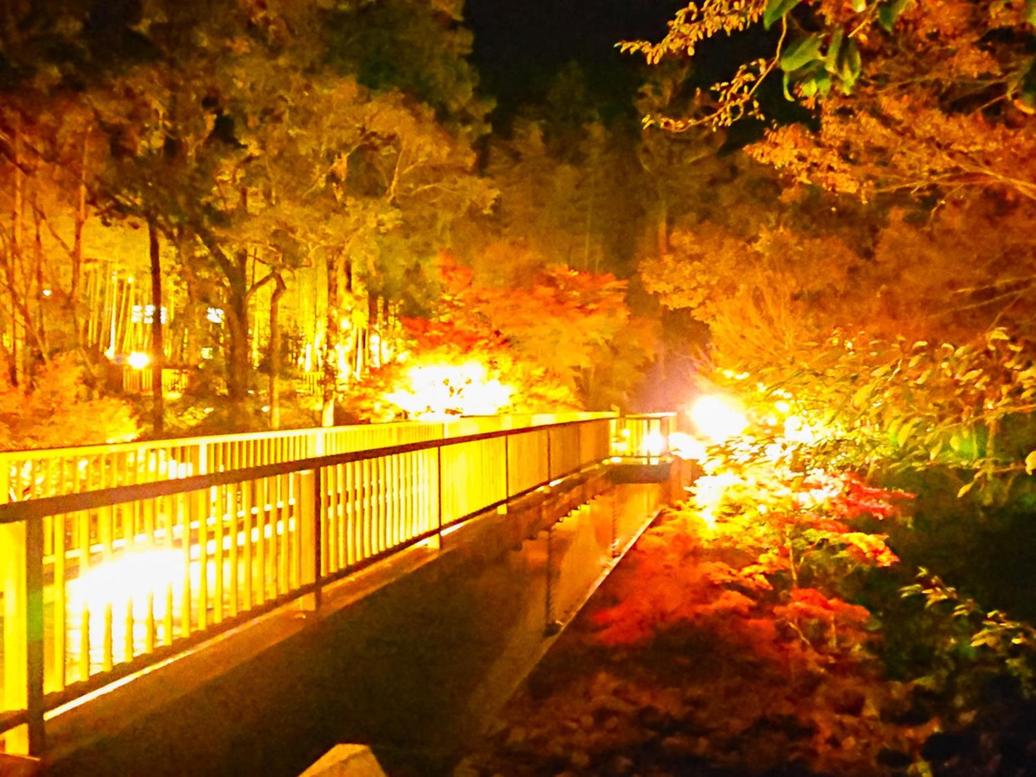 LiVEMAX RESORT Shizuoka Amagiyugashima