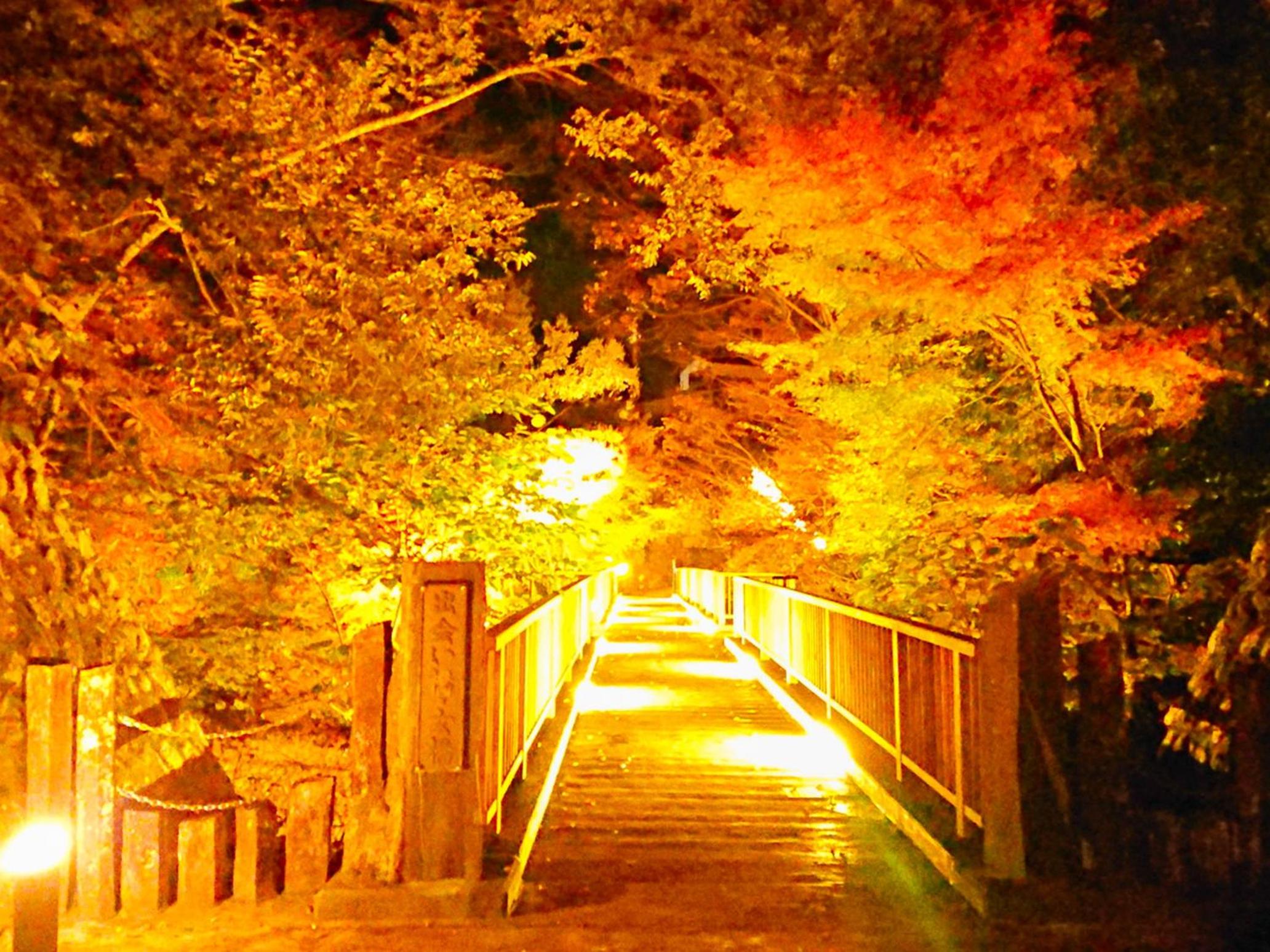 LiVEMAX RESORT Shizuoka Amagiyugashima