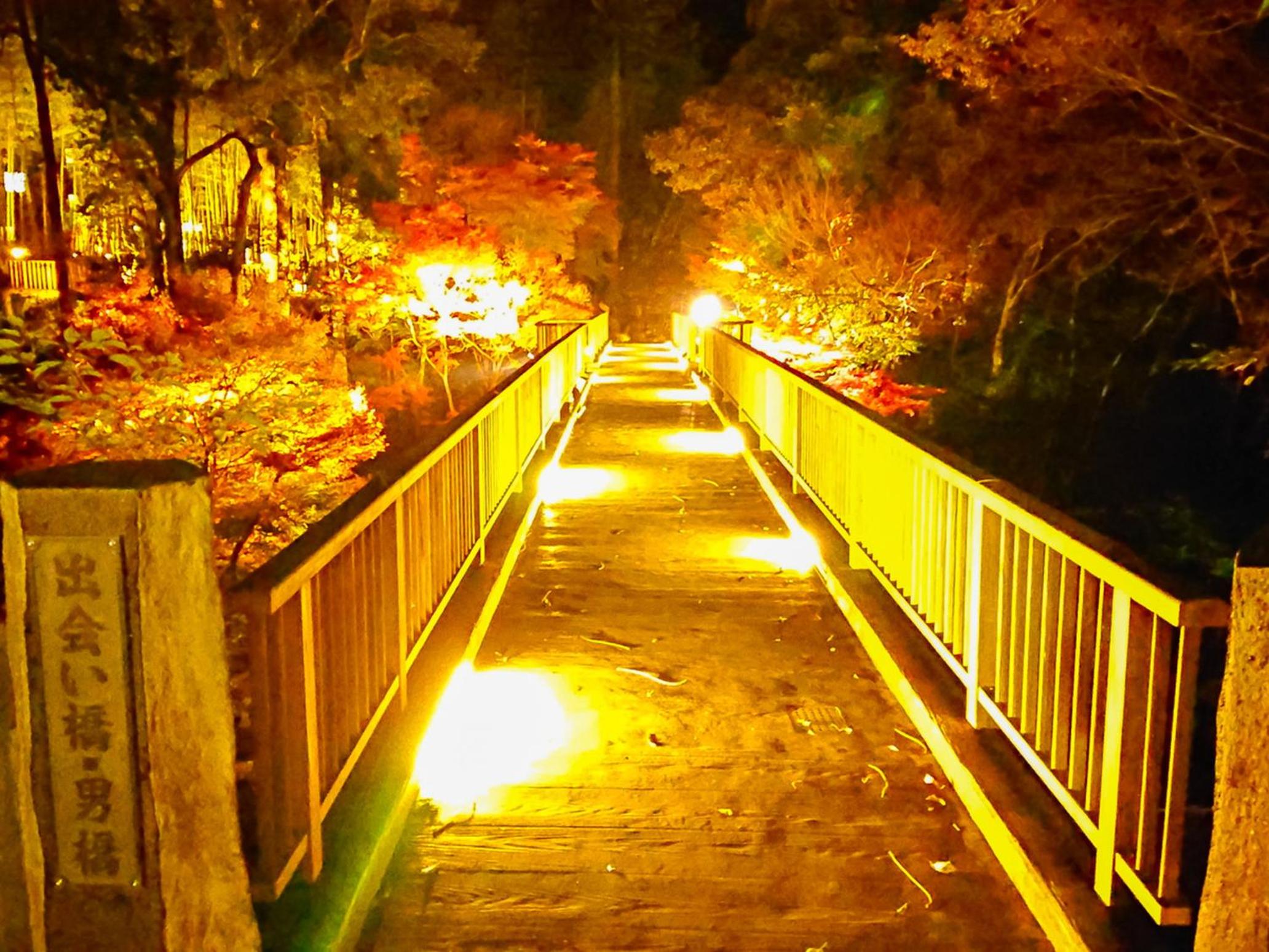 LiVEMAX RESORT Shizuoka Amagiyugashima