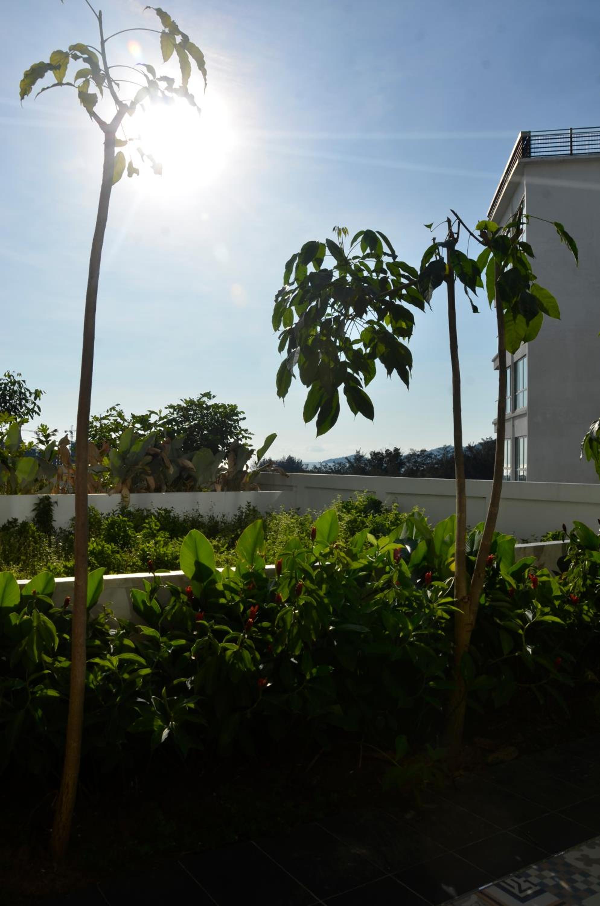 Photo 26