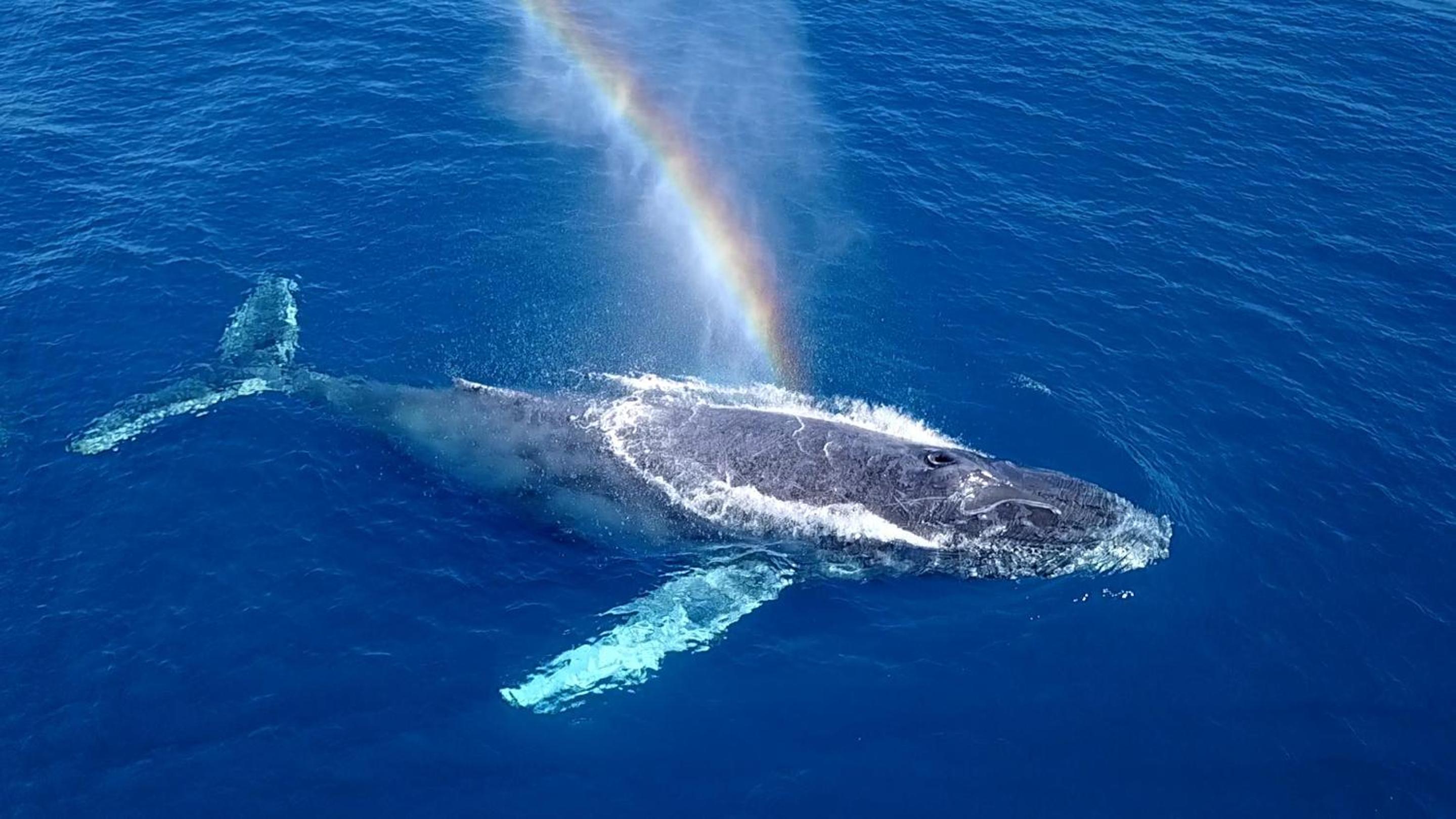 Los Cabos Vacations - Le Blanc Resort Los Cabos Adults Only - All Inclusive - Property Image 2