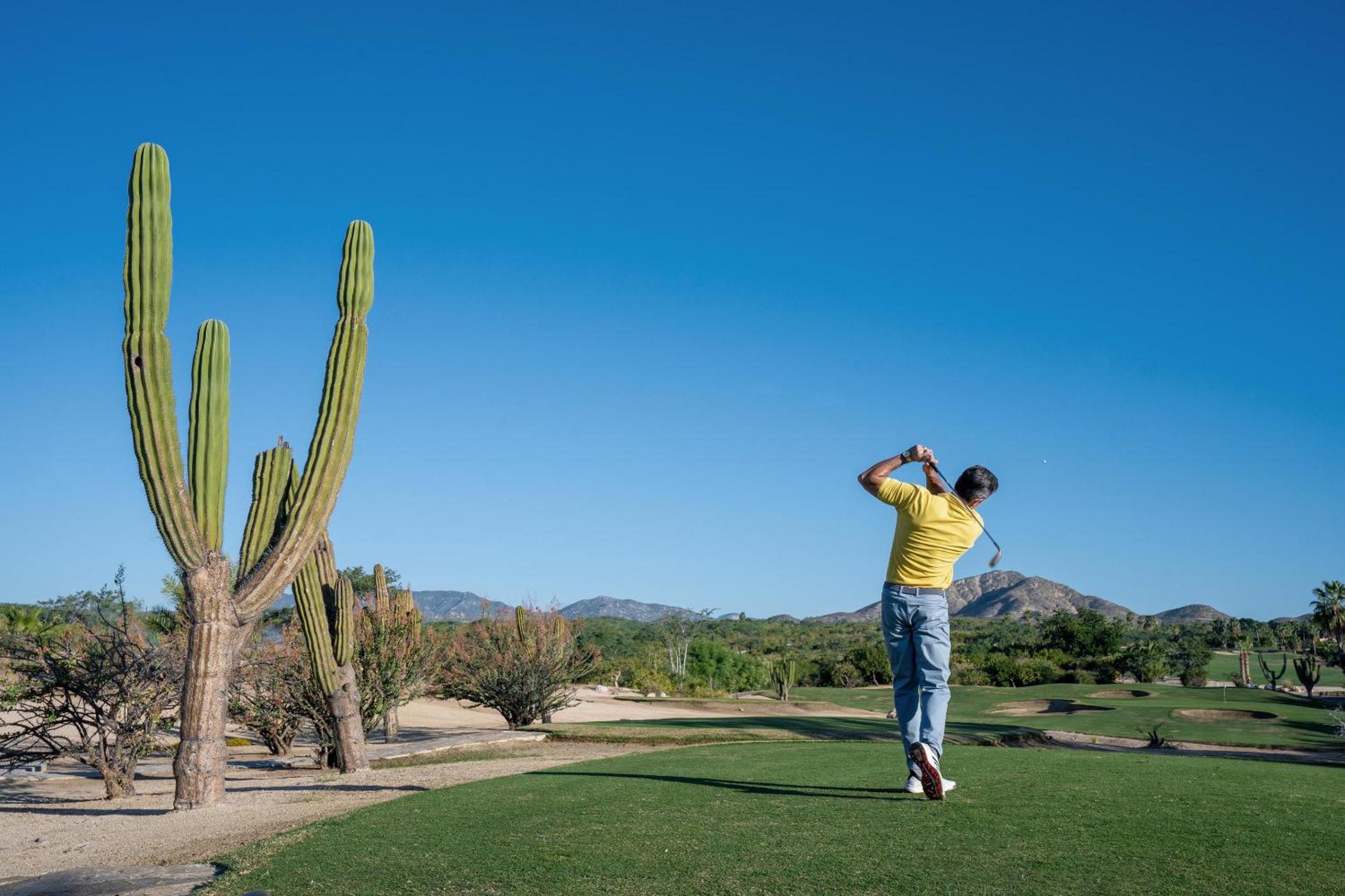 Los Cabos Vacations - Le Blanc Resort Los Cabos Adults Only - All Inclusive - Property Image 6