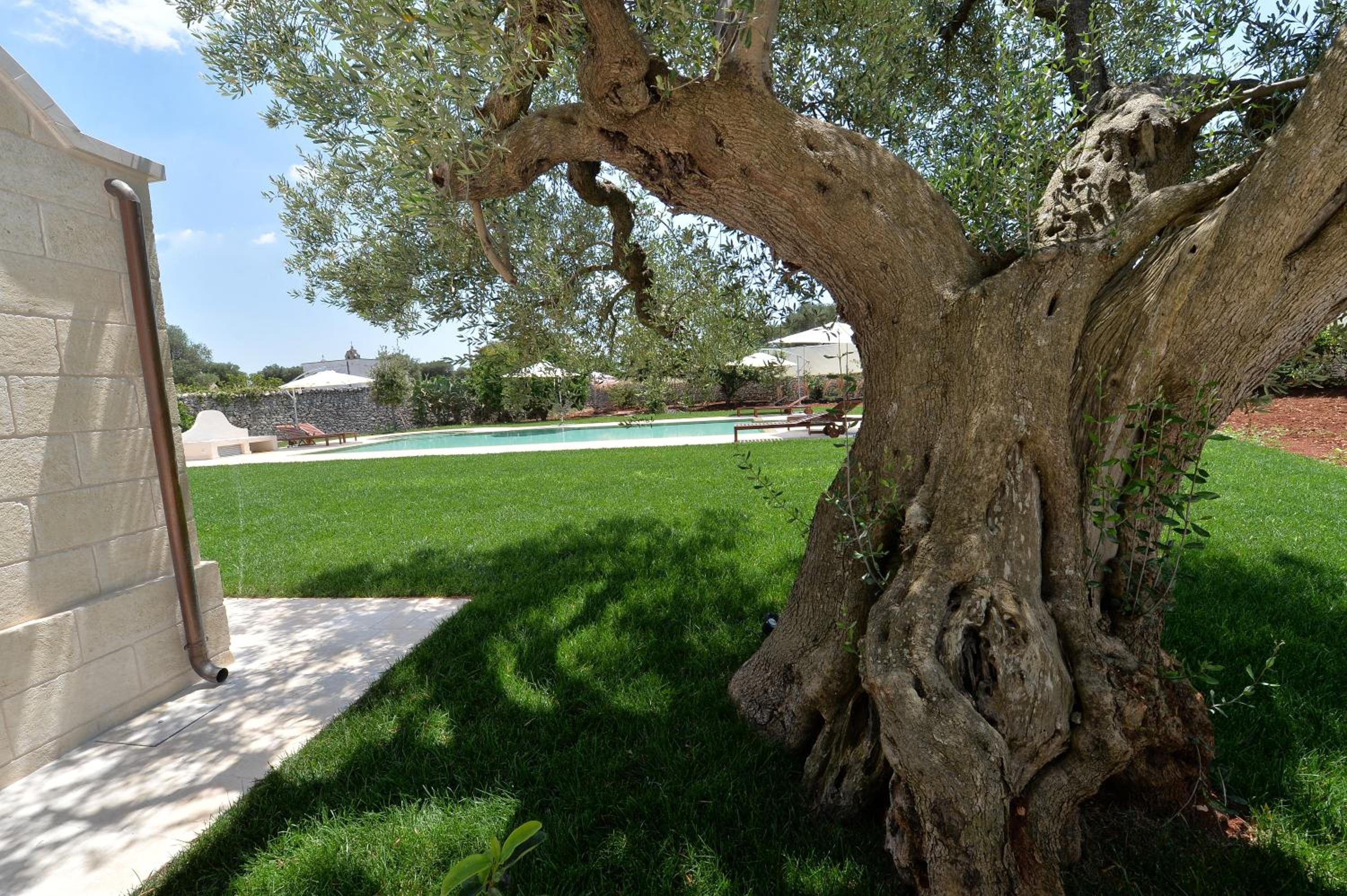 Photo 36