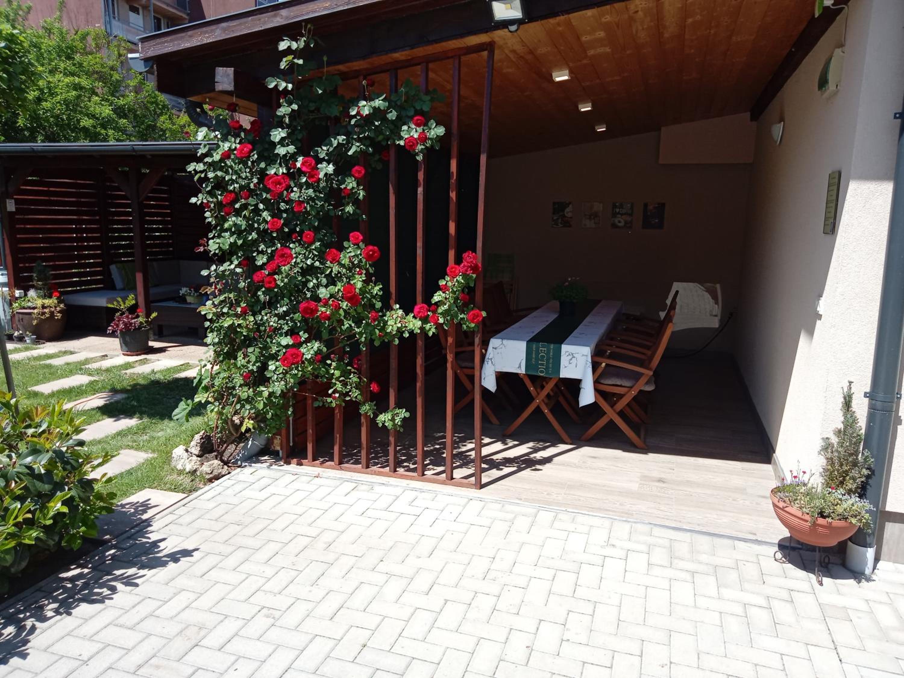 Photo 6