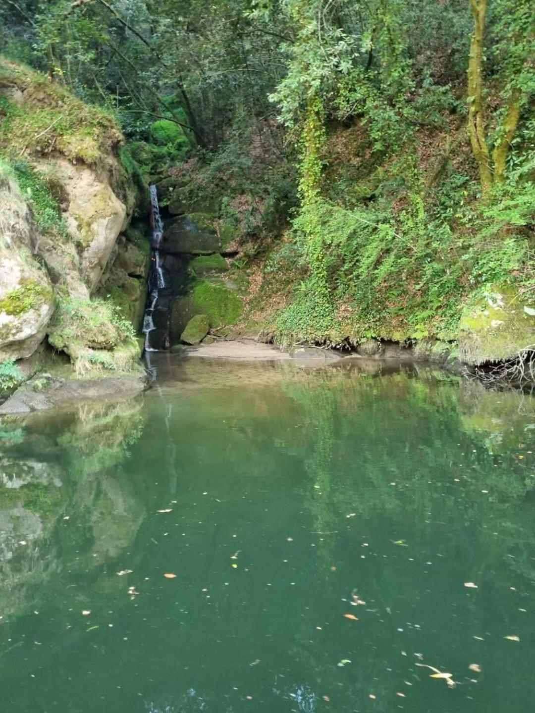 Photo 33