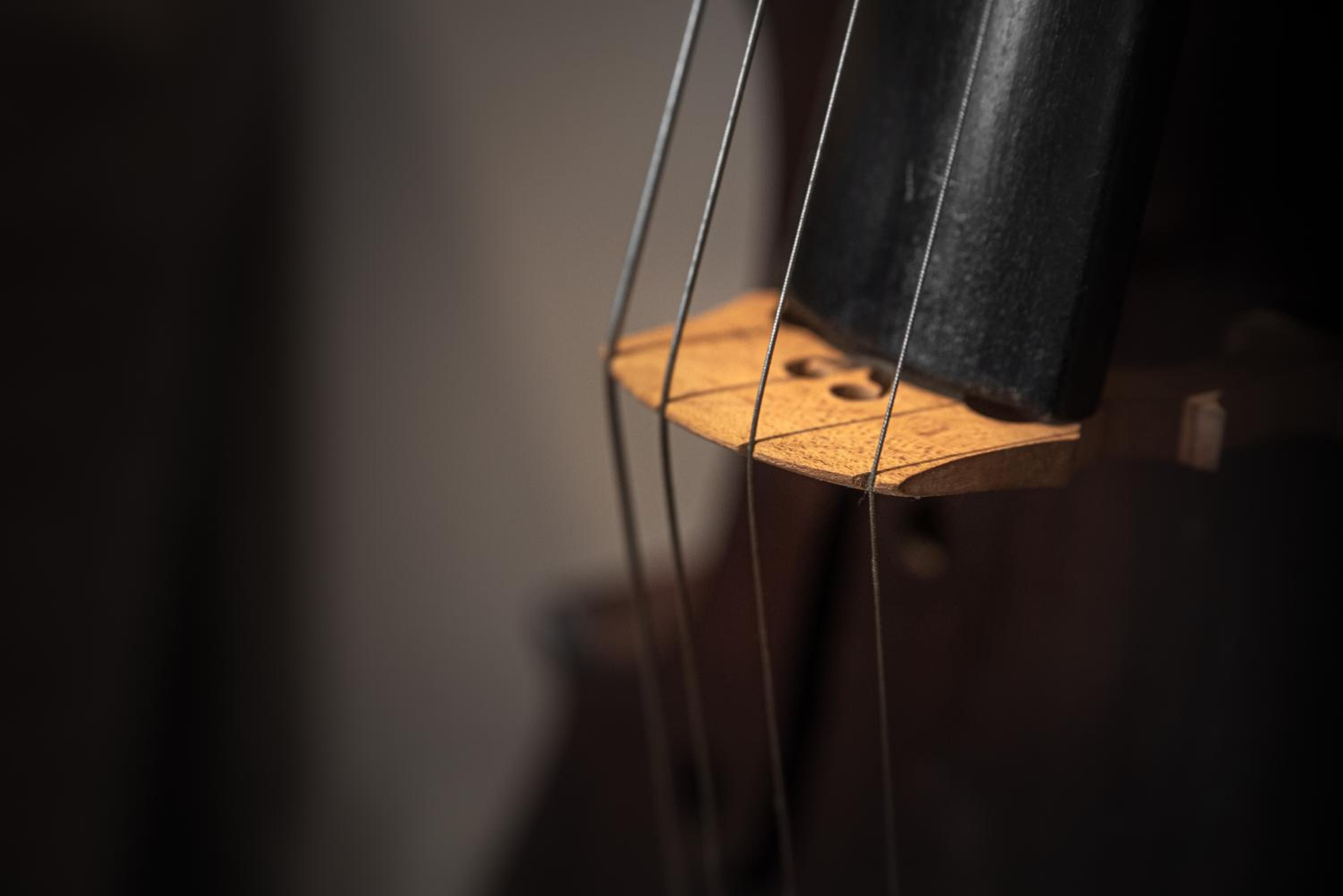 Plaza View Luxury Apartment, Alba photo 4