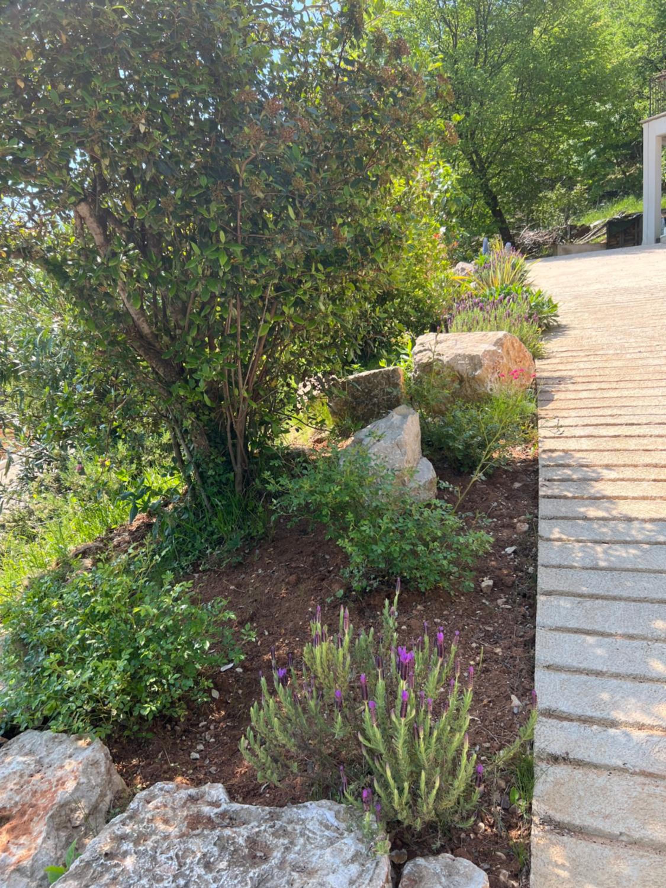 Photo 28