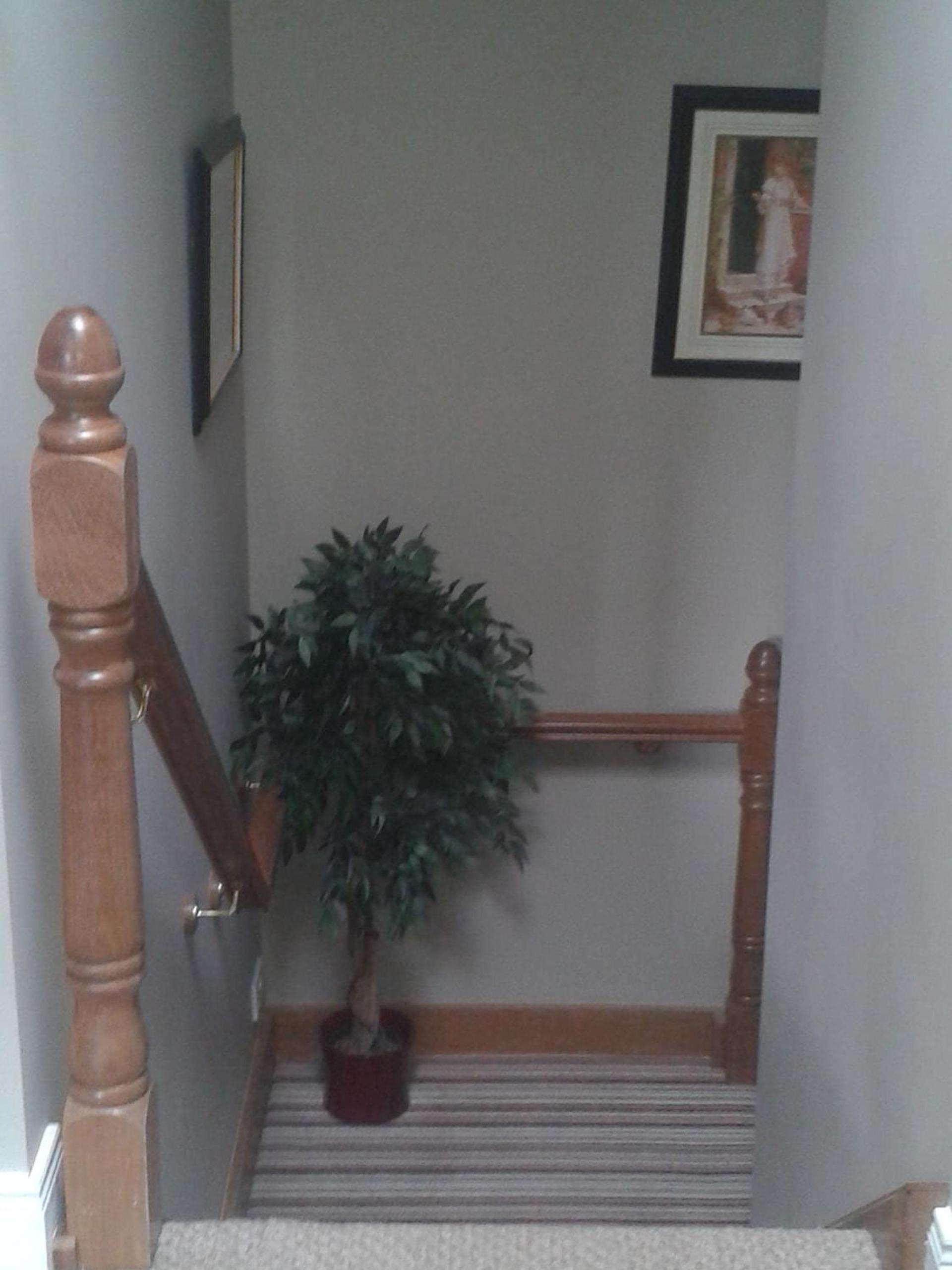Ryebrook House view 5
