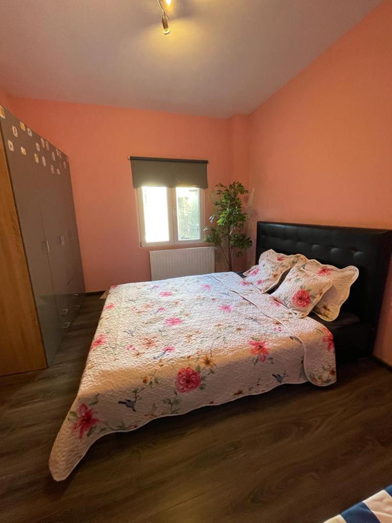 Right choice room
