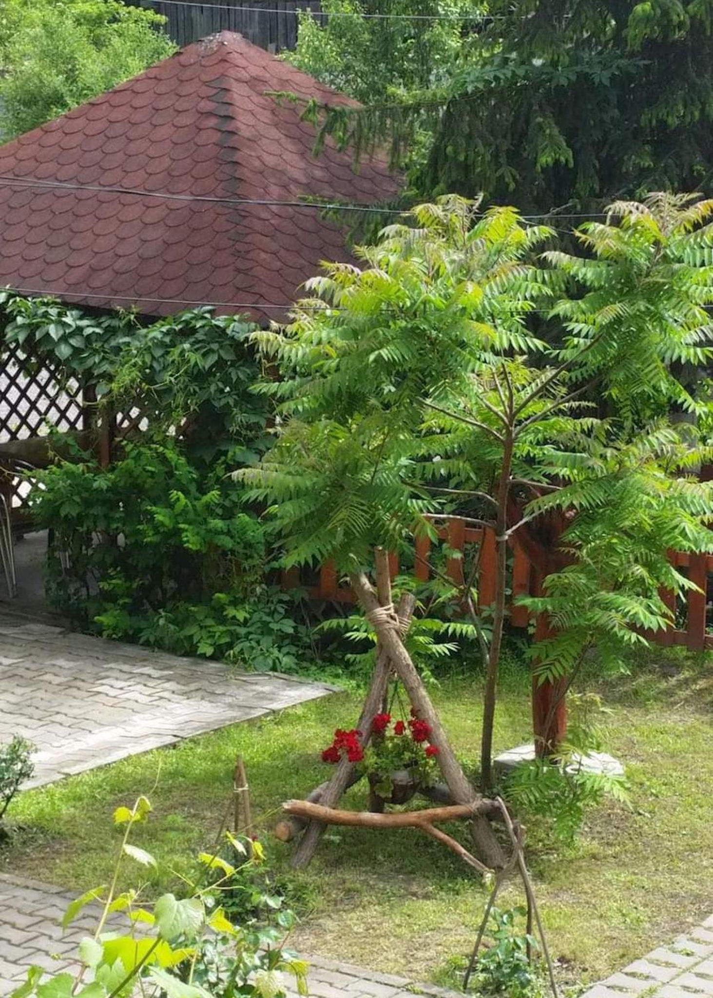 Photo 16