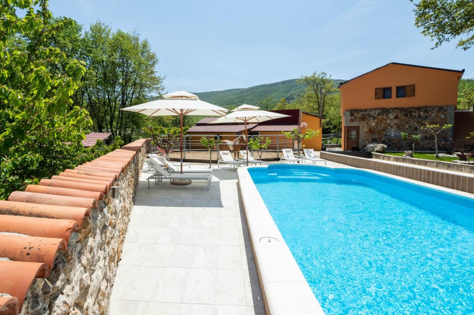 Holiday home with swimming pool, wellness, horses and donkeys